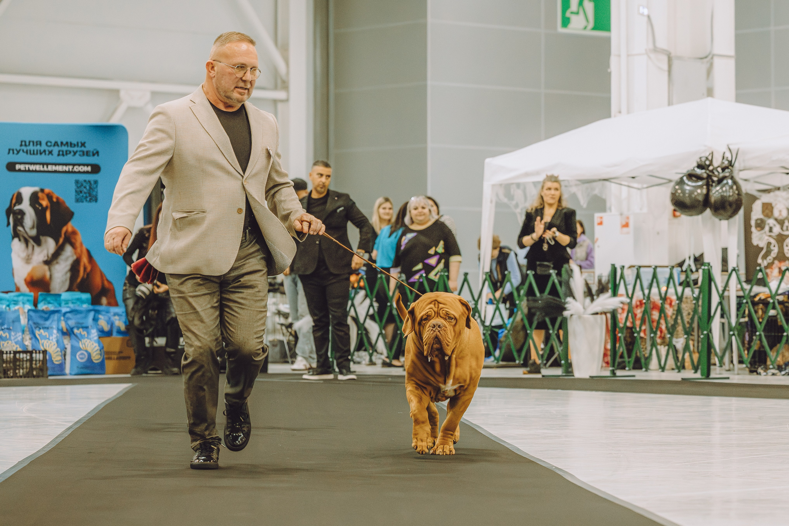 АВКС. Виктория Михайловская. Фотограф-анималист. Москва