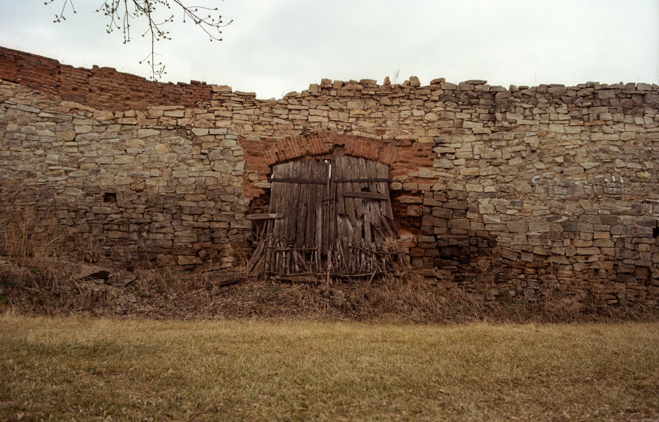 Родина. Фотограф в Санкт-Петербурге Березовский Даниил