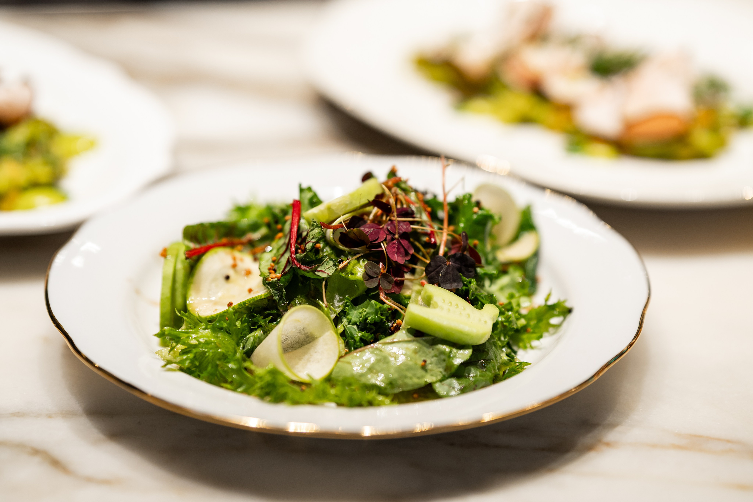 Le Pigeon — Русские сезоны и Балет «Дягилев». Фотограф Никита Комаров