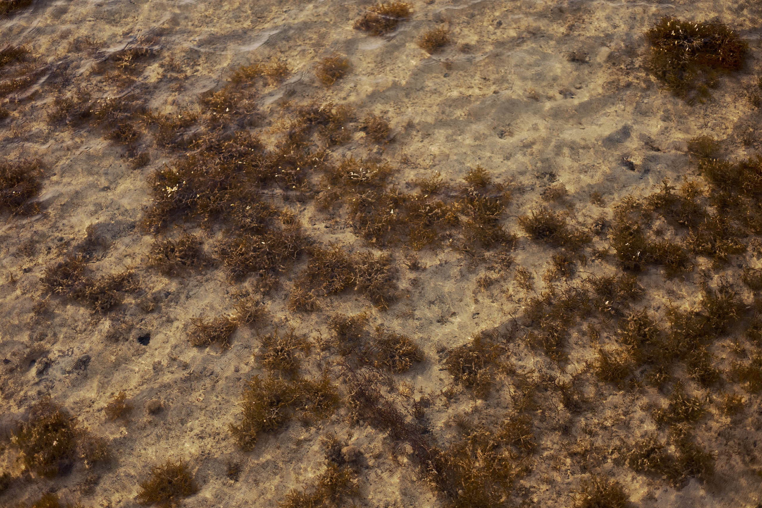 Улица горизонтальная. Jorgis — фотограф в Хургаде / обучение фотографии