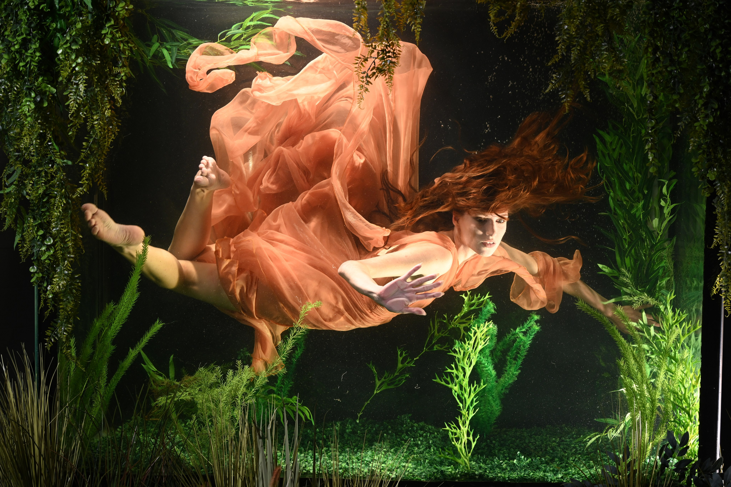 Фотограф в Санкт-Петербурге Сафронов Николай