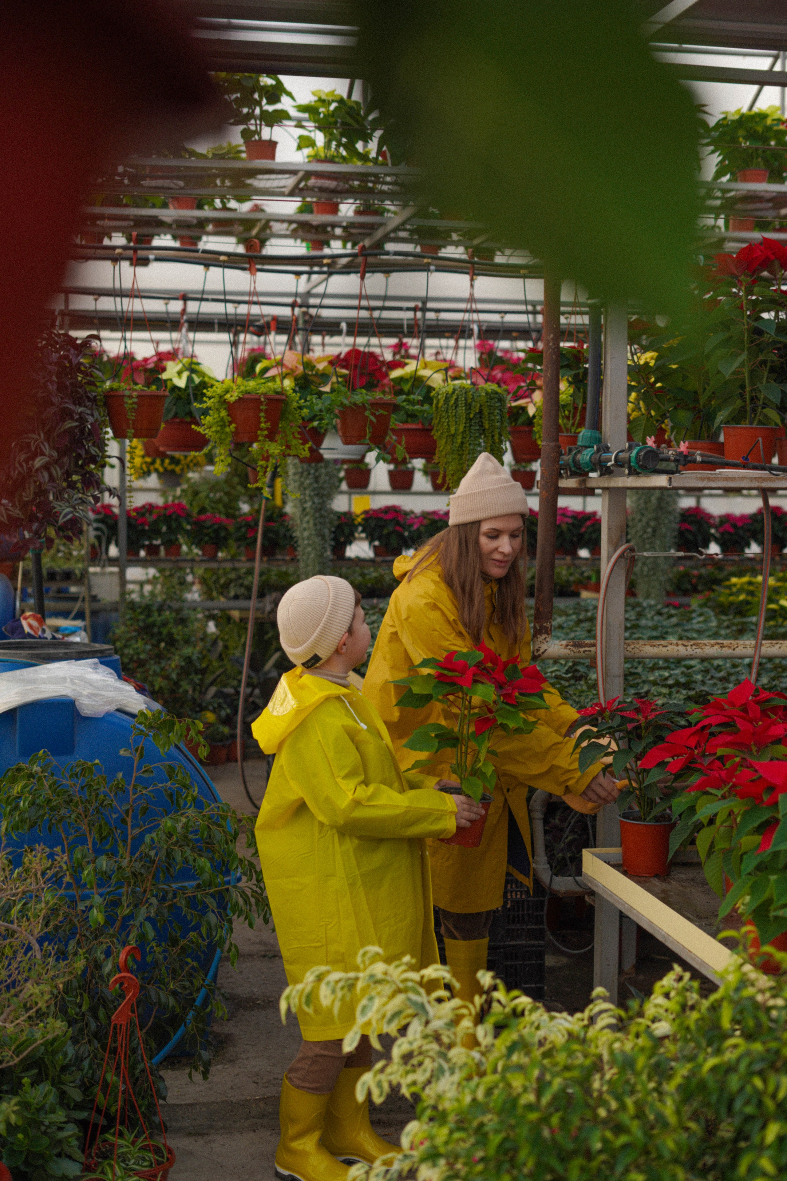 Осень и ее прелести. Свадебный и семейный фотограф Афанасьева Анна в Кисловодске