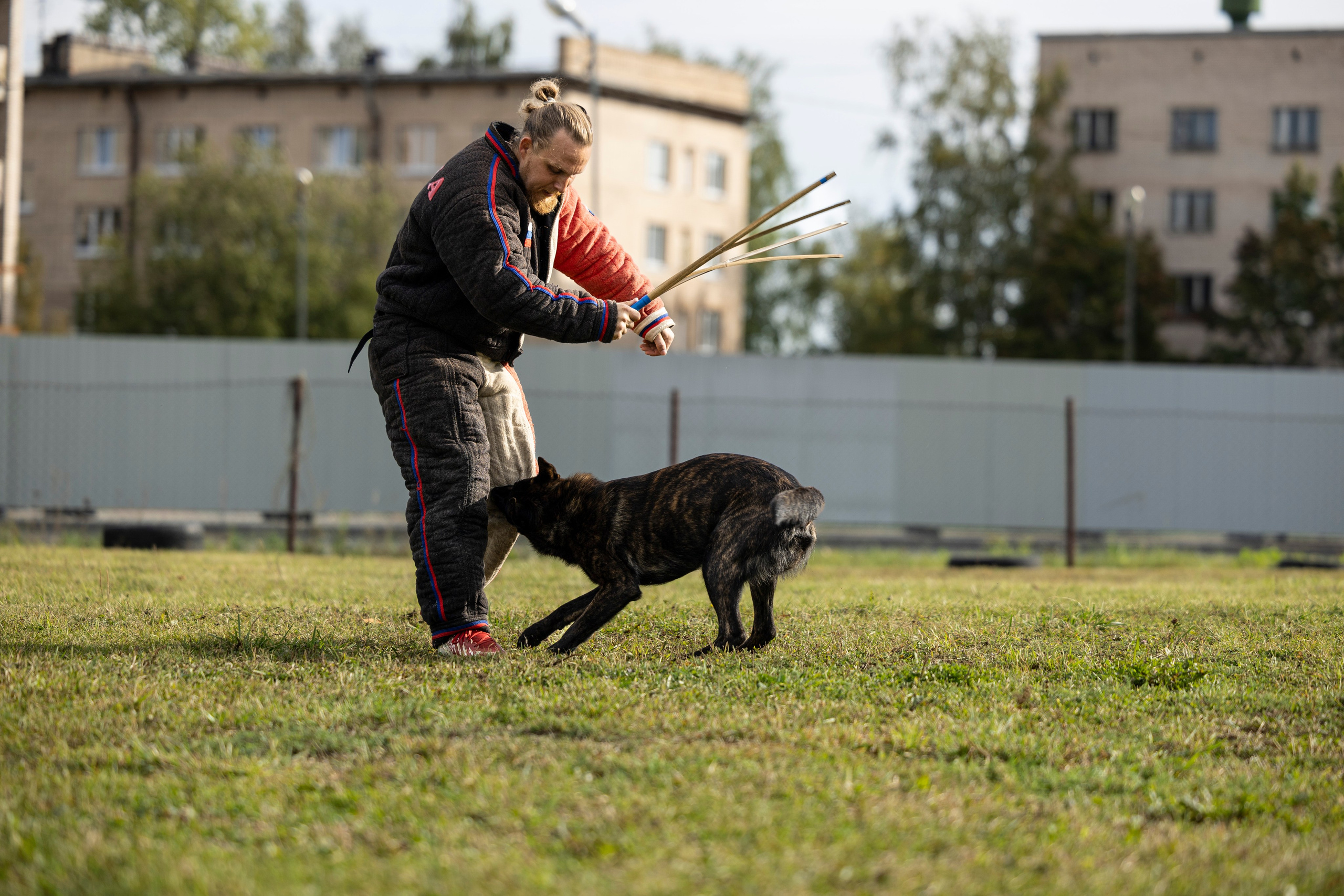 Испытания по Мондьорингу г. Пушкин. Фотограф-анималист Анна Маринич