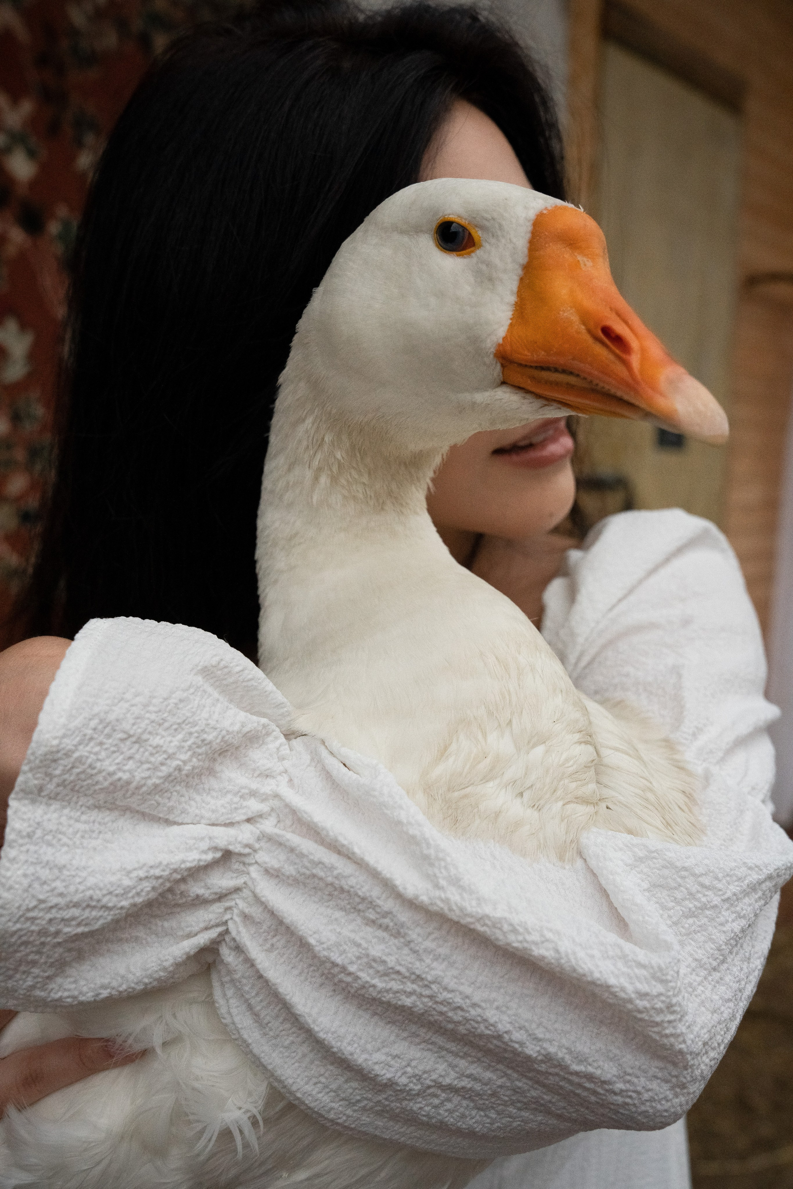 На ферме. Студийный и портретный фотограф в САНКТ-ПЕТЕРБУРГЕИрина Махаон