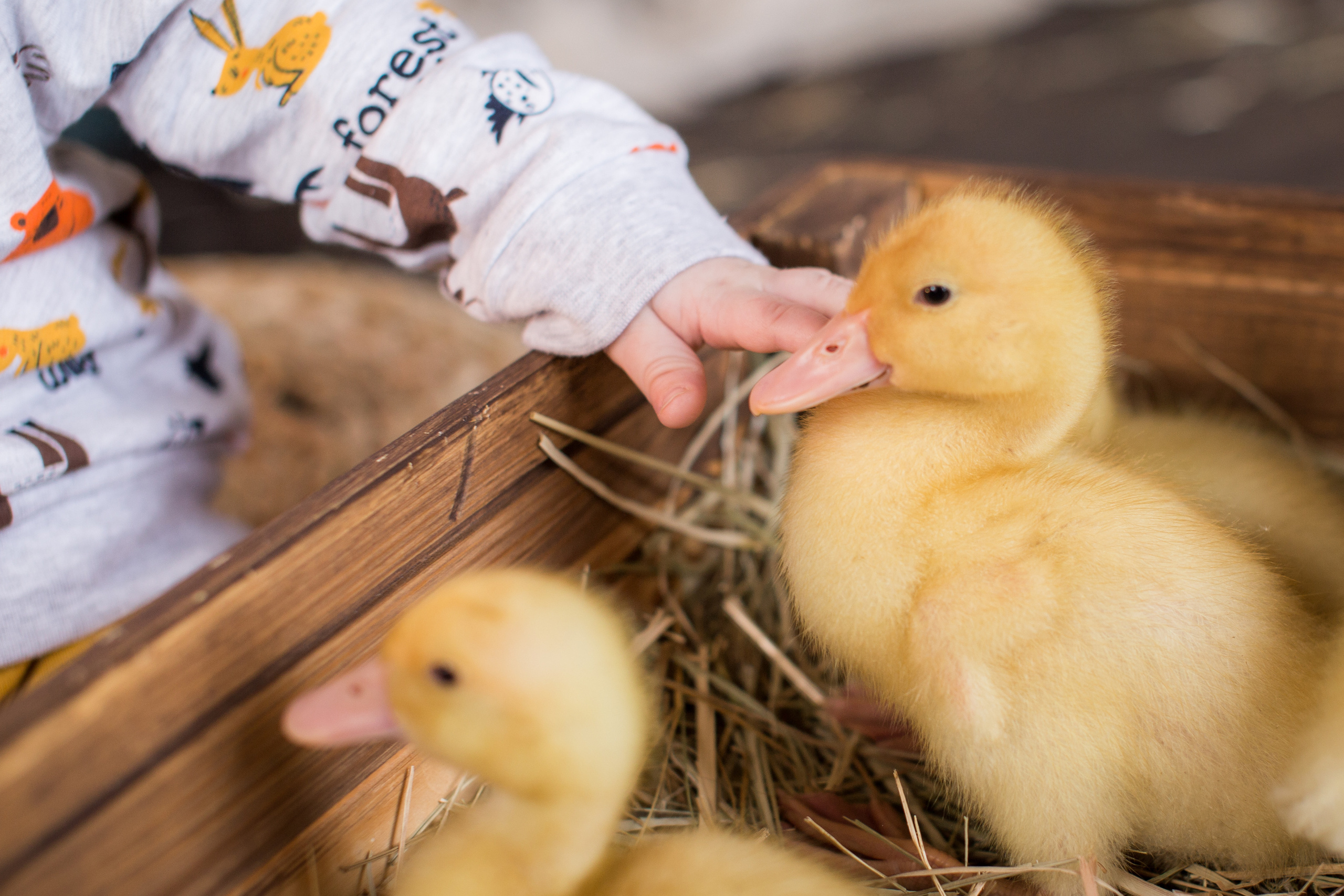 Пасха 2022. Фотограф в Саратове Будимирова Ирина