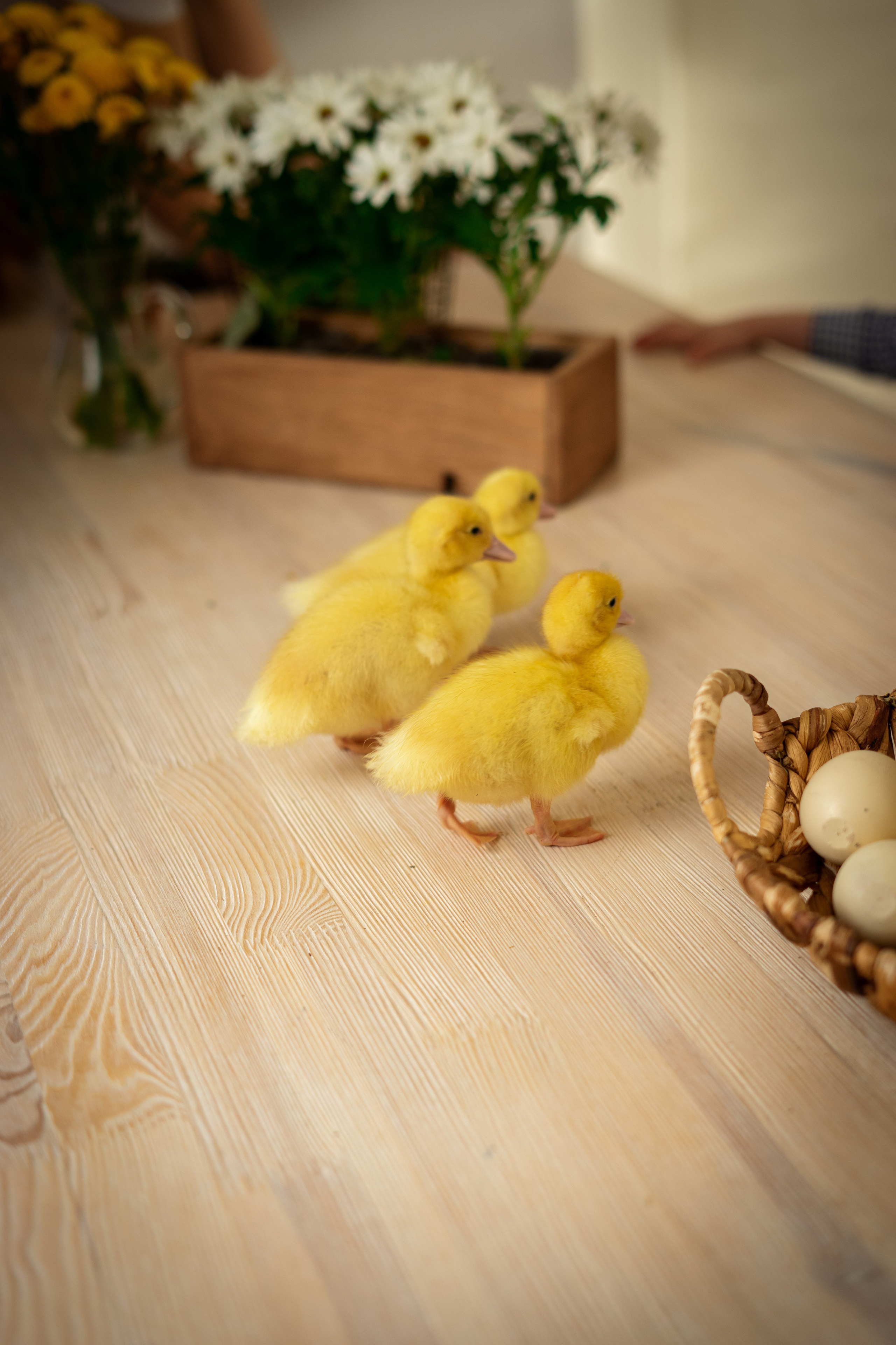 Пасха 2022. Фотограф в Саратове Будимирова Ирина