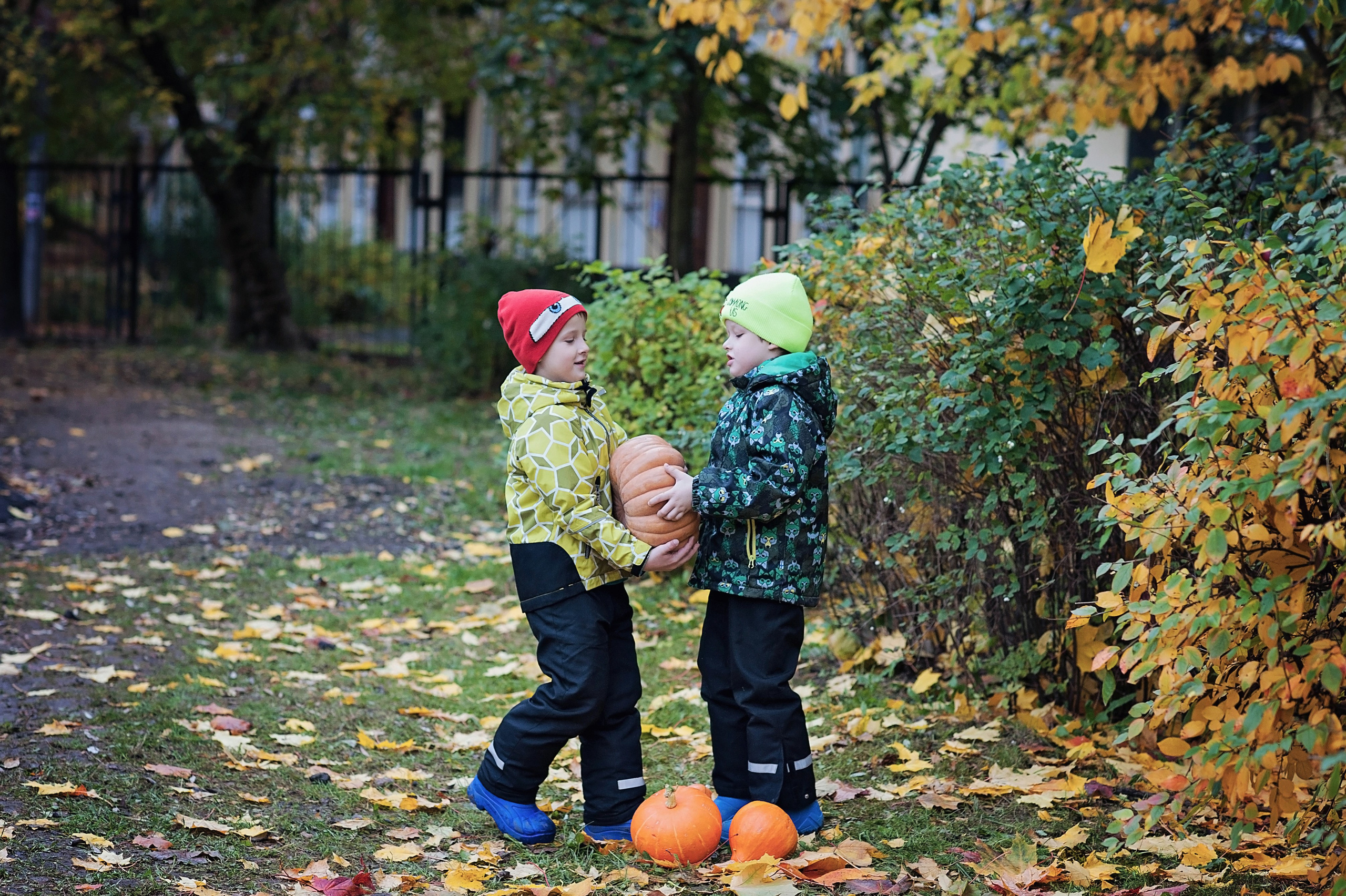 Детский сад. Фотограф Санкт-Петербург