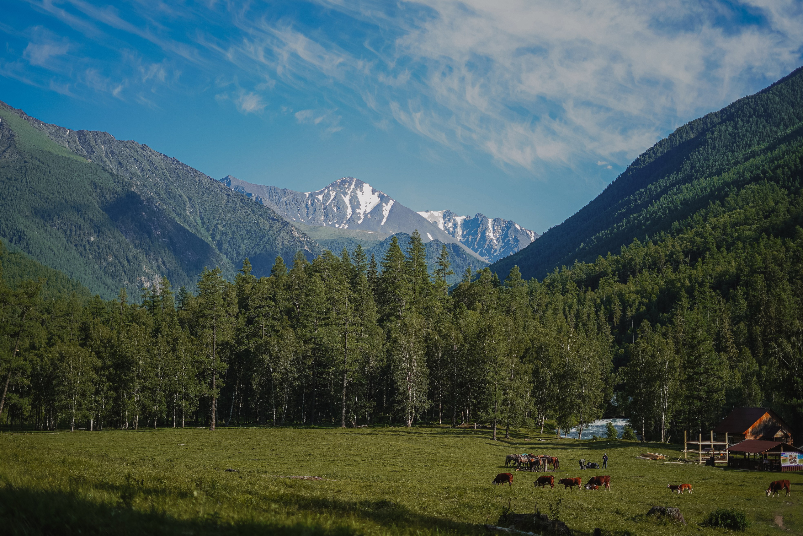 Алтай, поход к Белухе 2023. Фотограф Ольга Пучкова