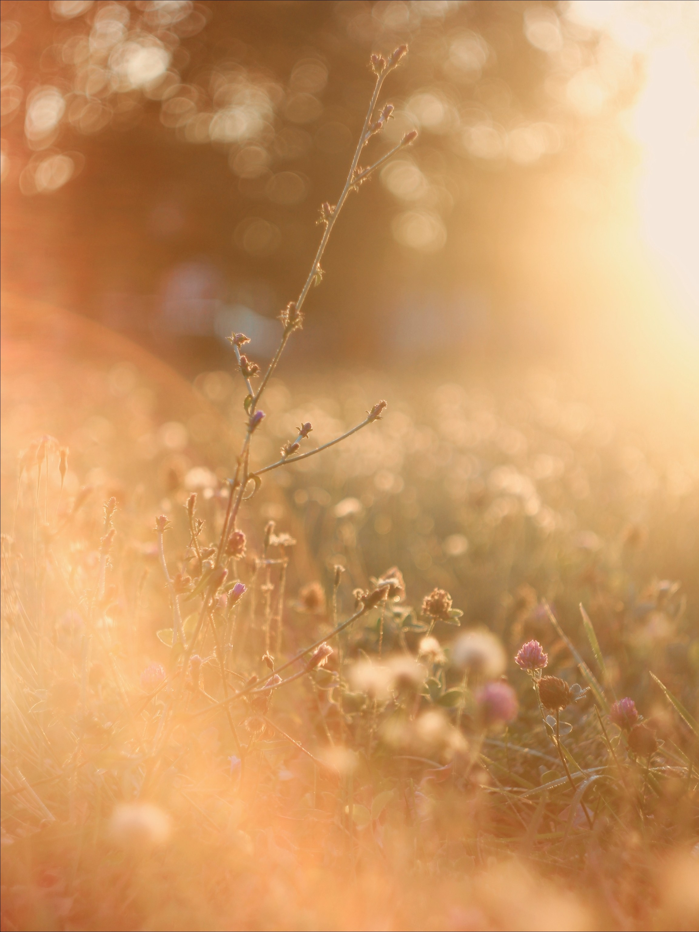 Эфемерность моментов. С любовью, фотохудожник