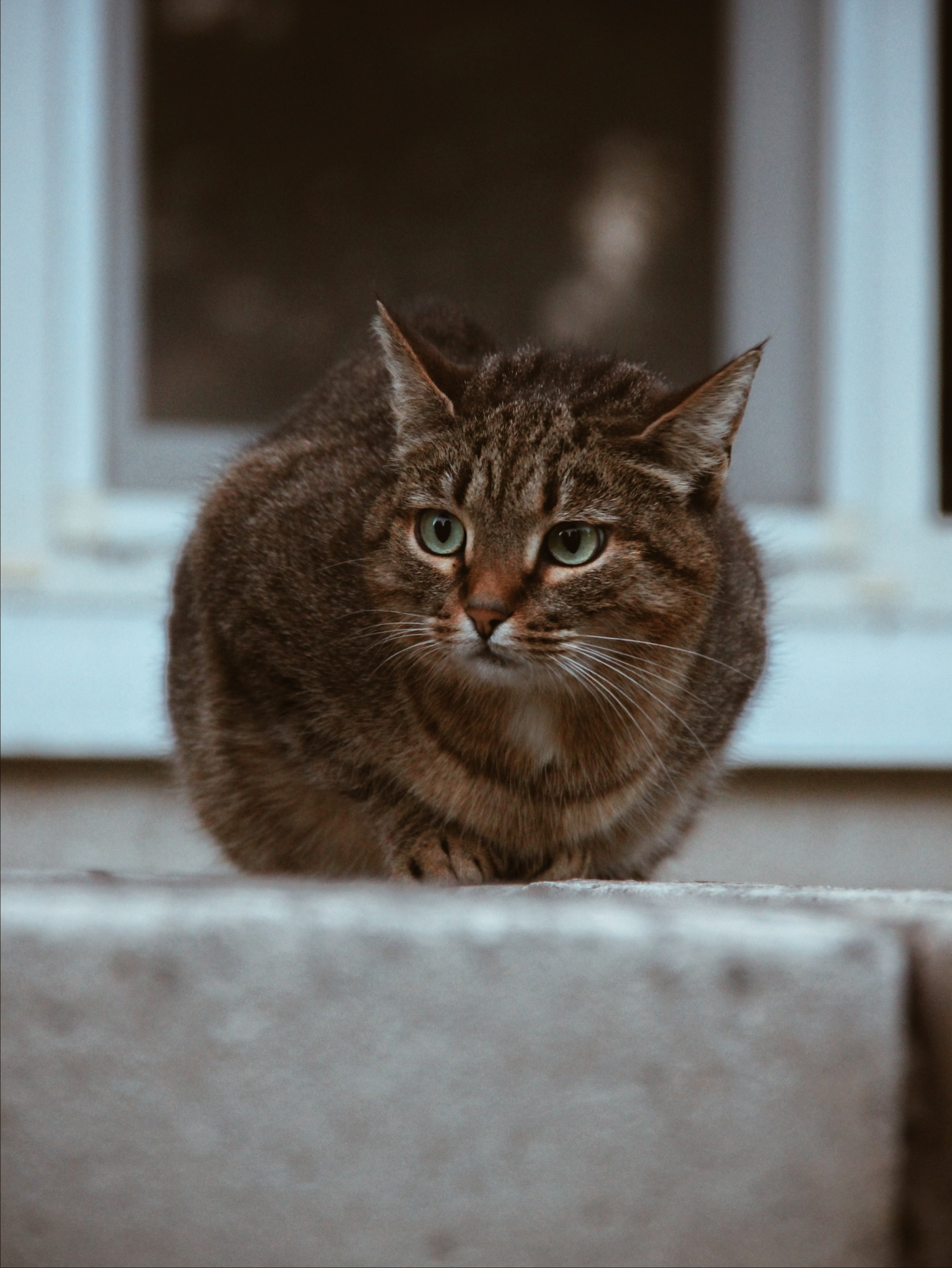 Уличные модели. С любовью, фотохудожник