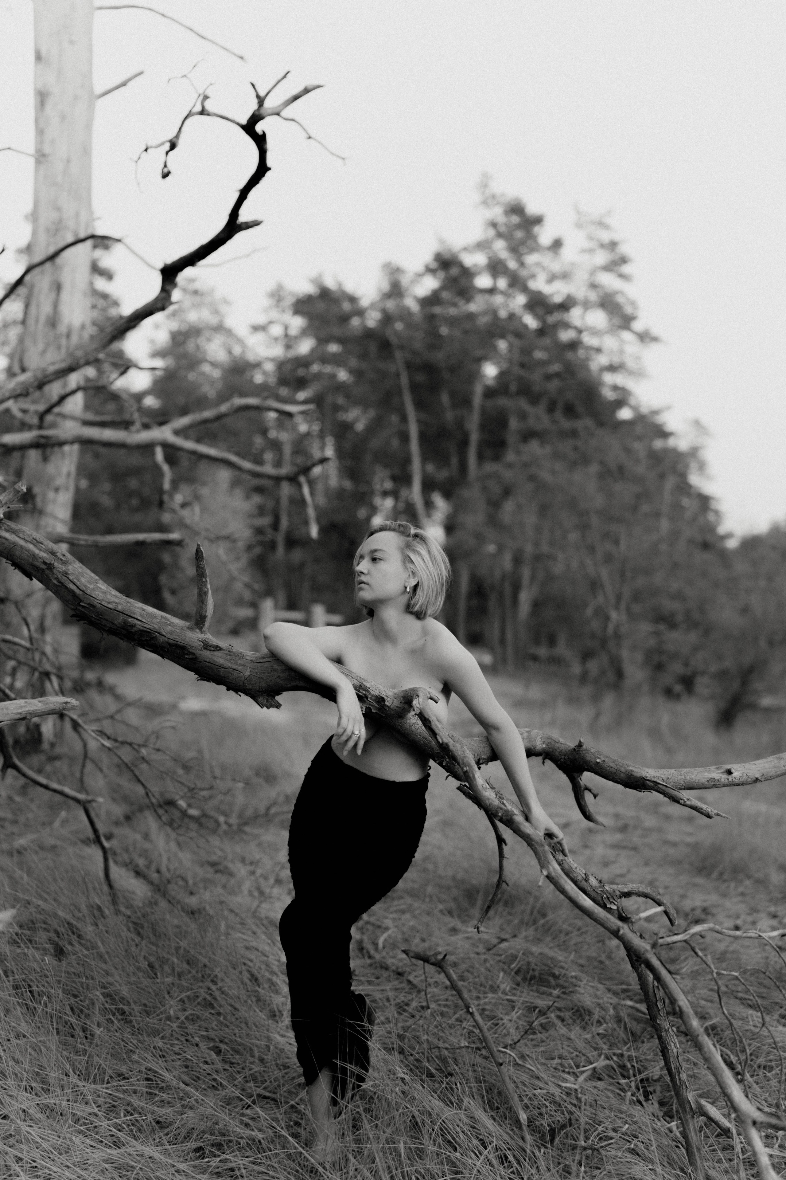 Катя Данкер