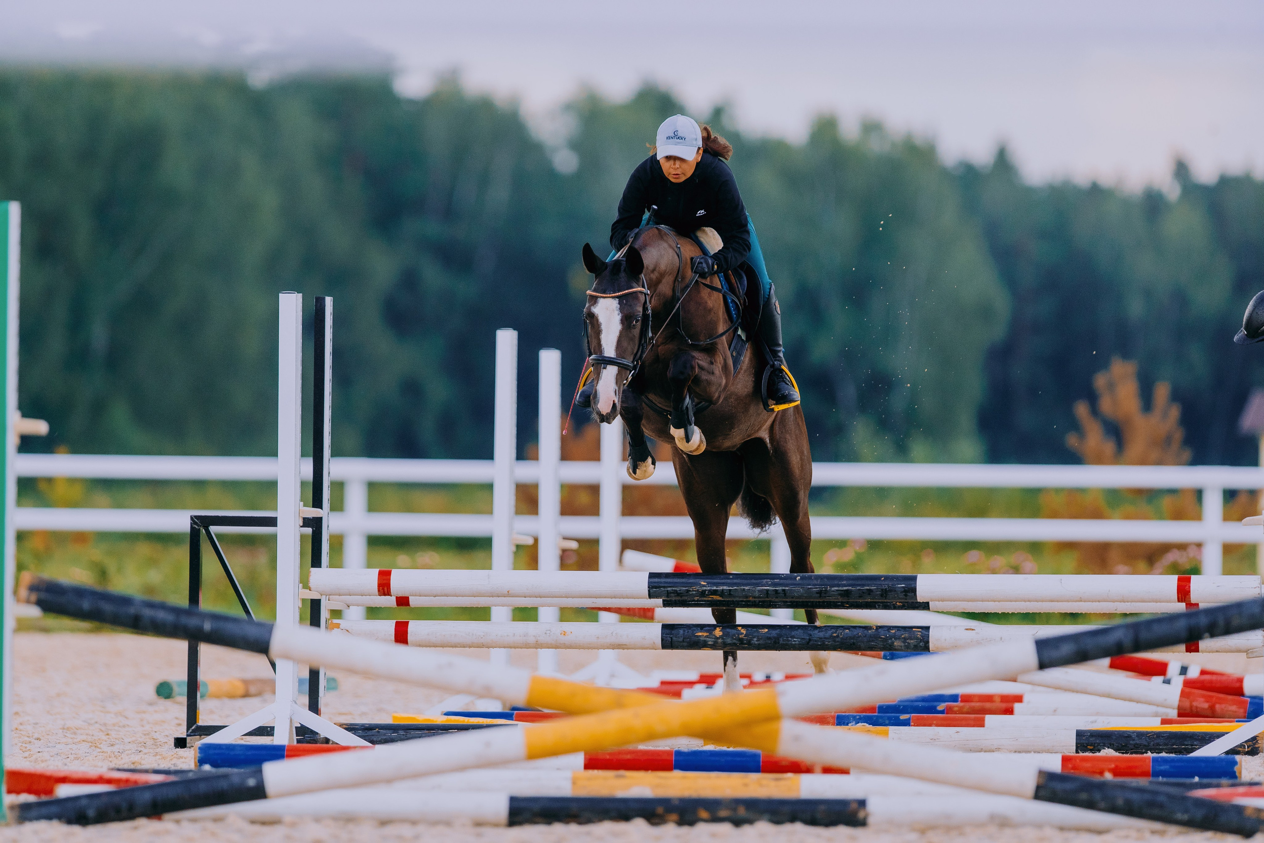 Тренировки. Фотограф-анималист Ксендзова Кристина