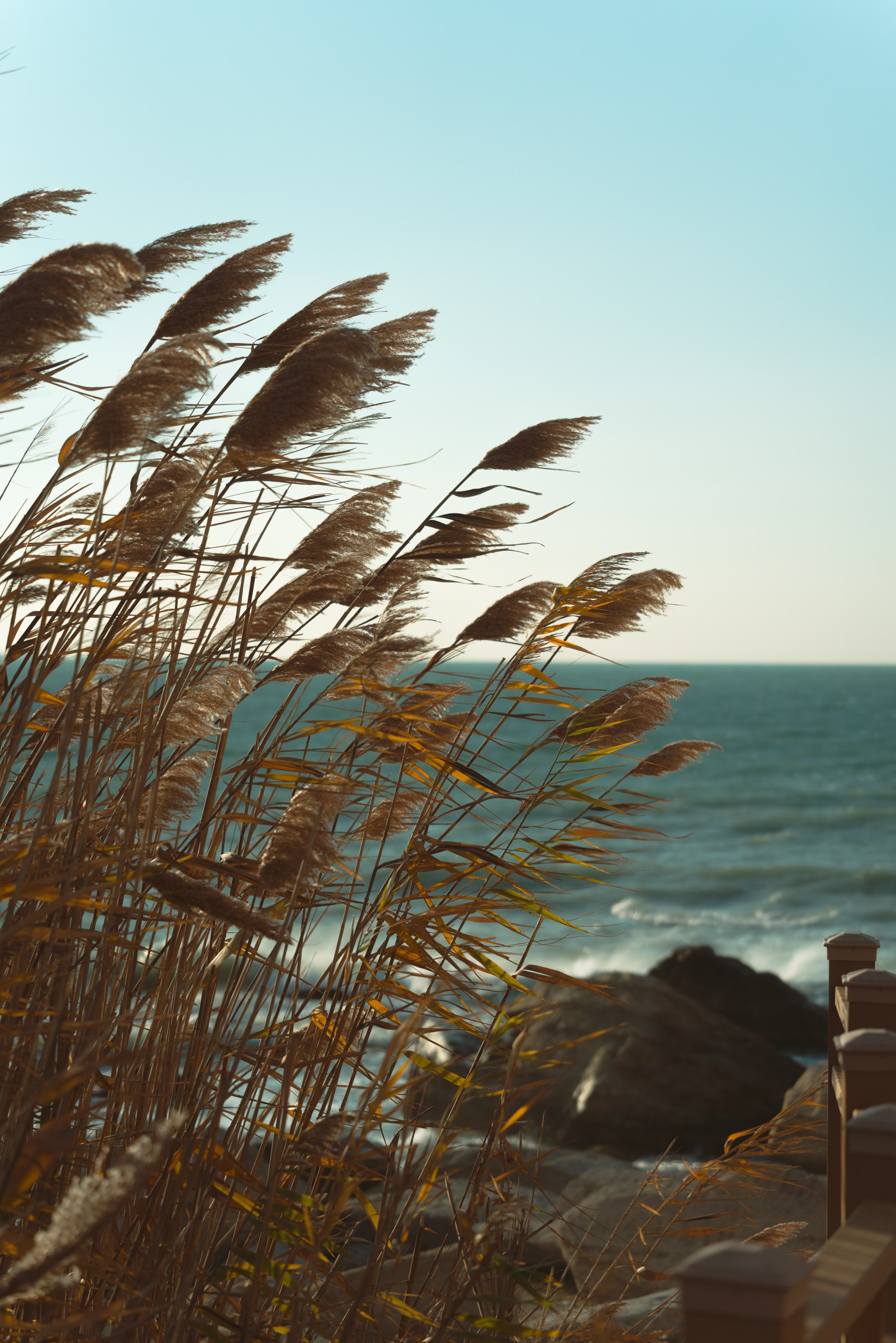 Актау, Ноябрь 2024