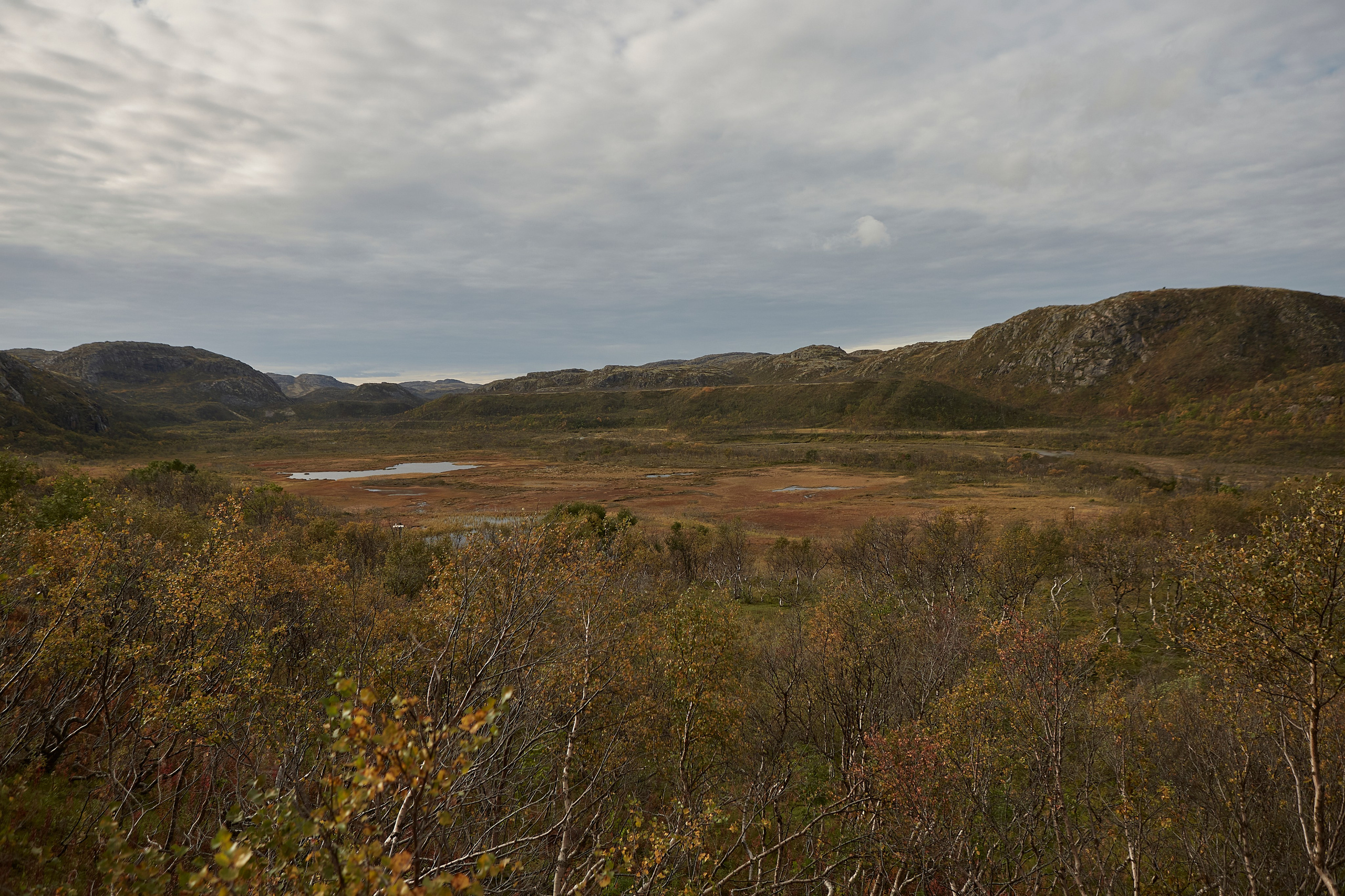 Ульяна. Анастасия Зобнинá — фотограф в Санкт-Петербурге/СПб
