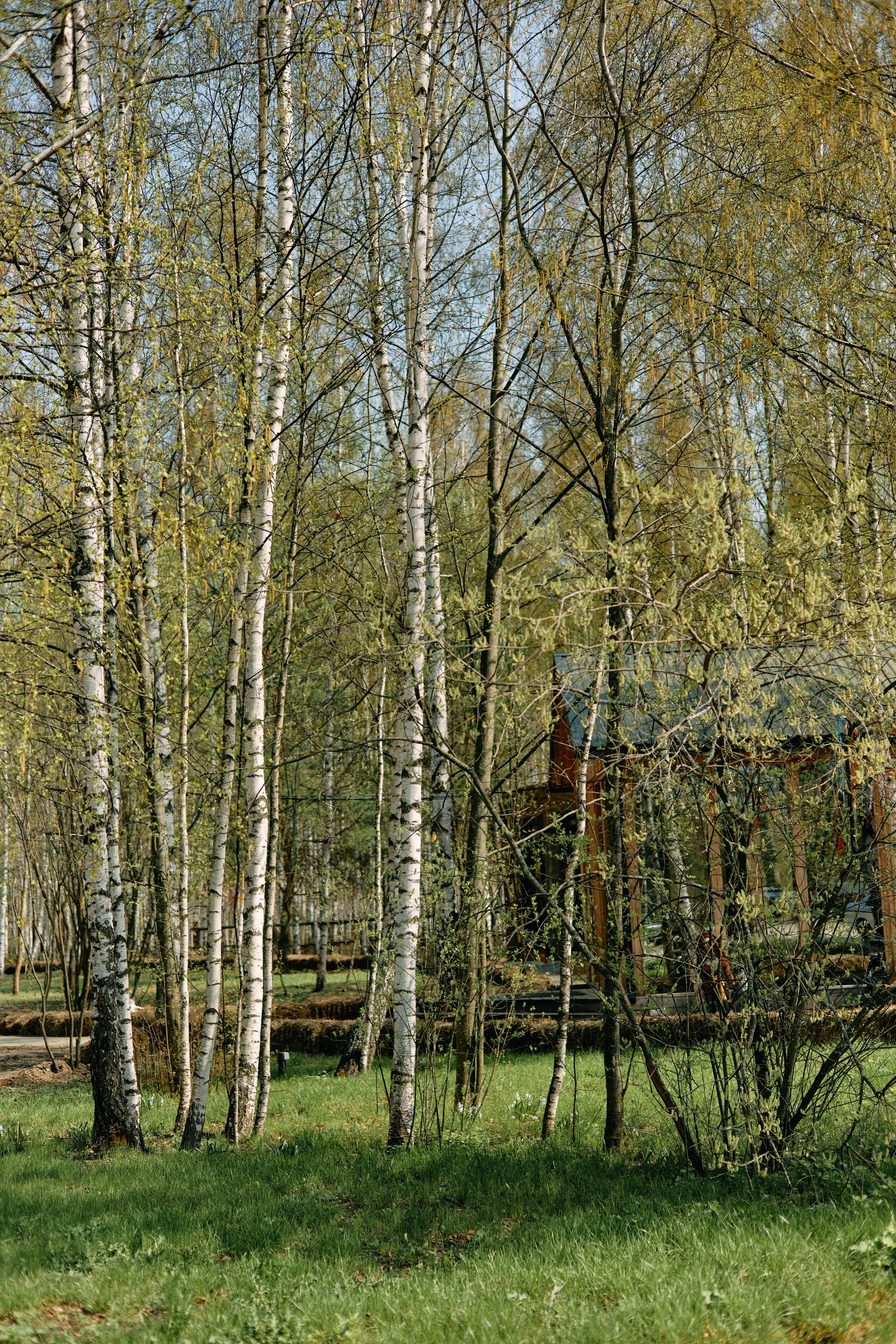 Бутик-отель Поле летом. Профессиональный Фотограф во Владимире, в Москве и в Суздале — Полина Романычева