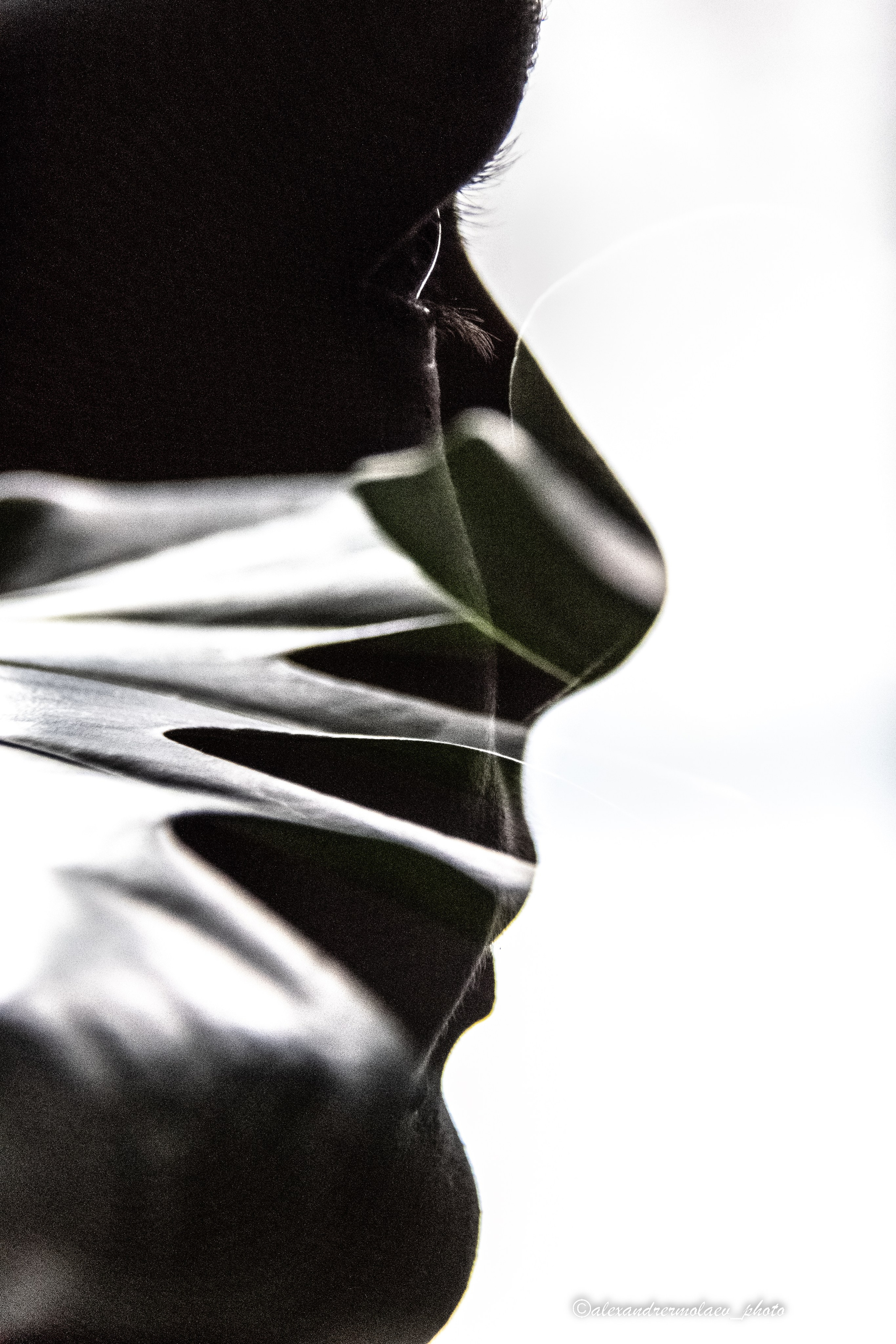 Фотограф Александр Ермолаев семейный и женский фотограф в Магадане