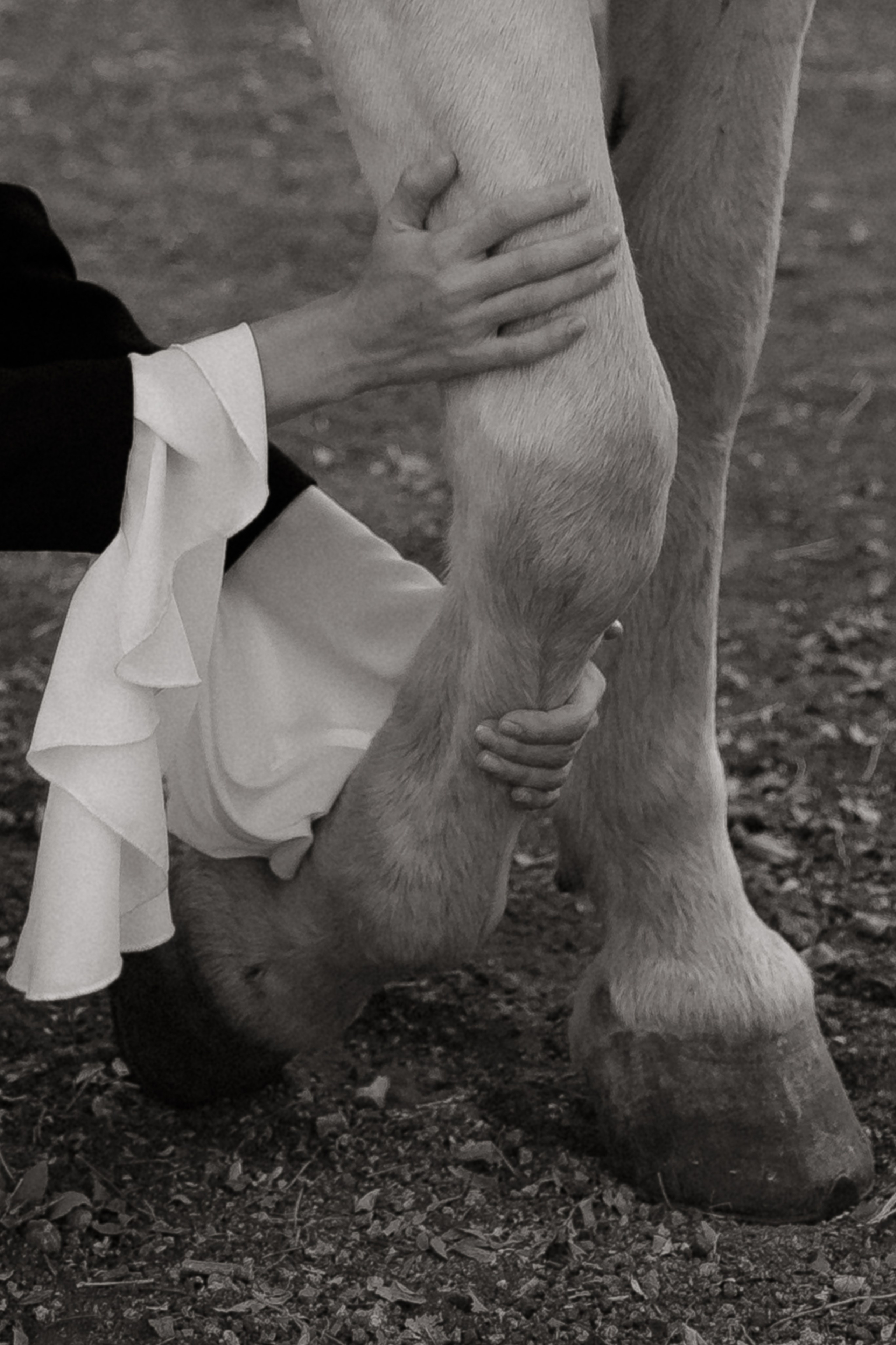 Александр и Кристина. Свадебный | Семейный фотограф