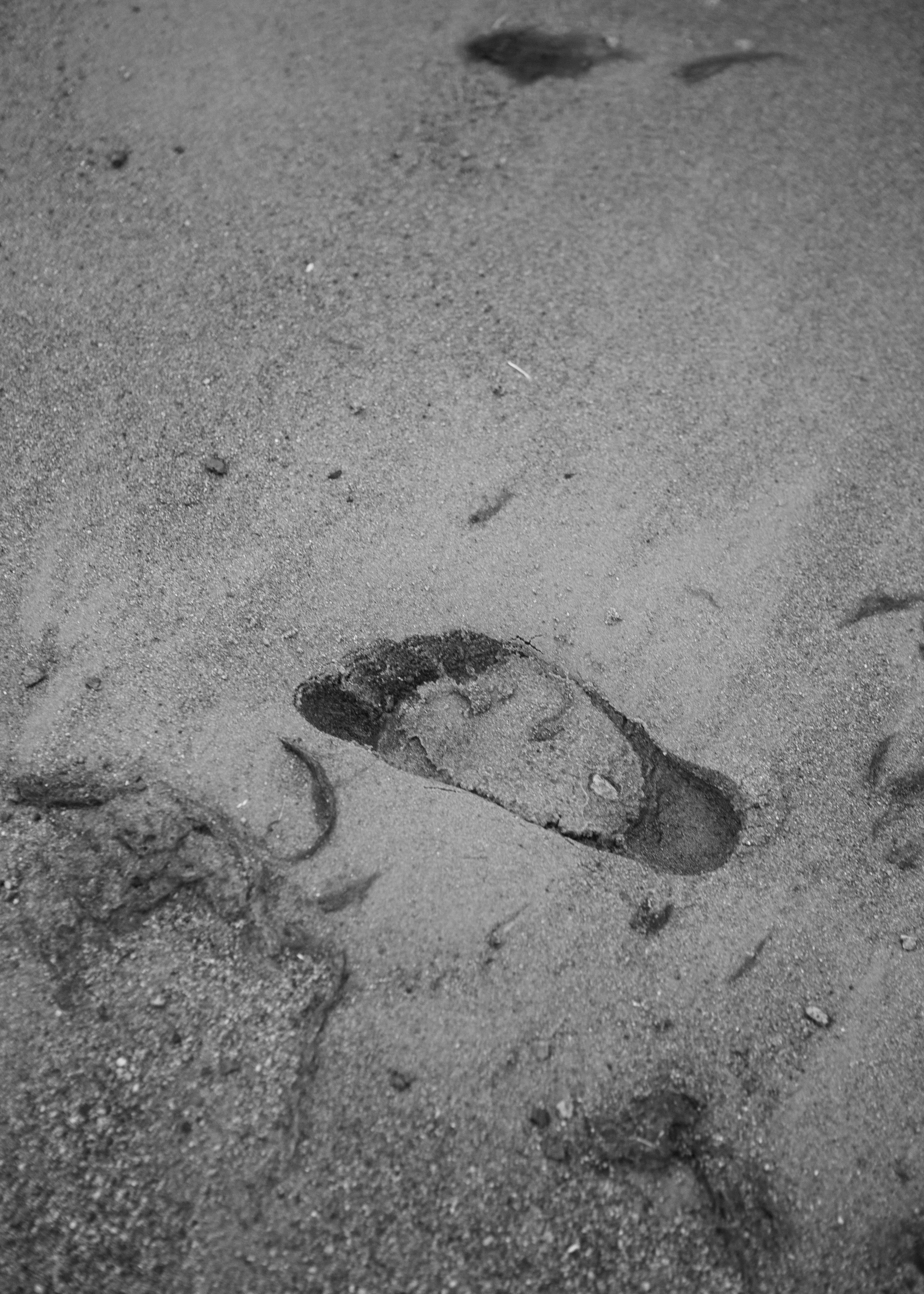 Anastasia Mironava. Коммерческий и репортажный фотограф в Санкт-Петербурге Андрей Васильев