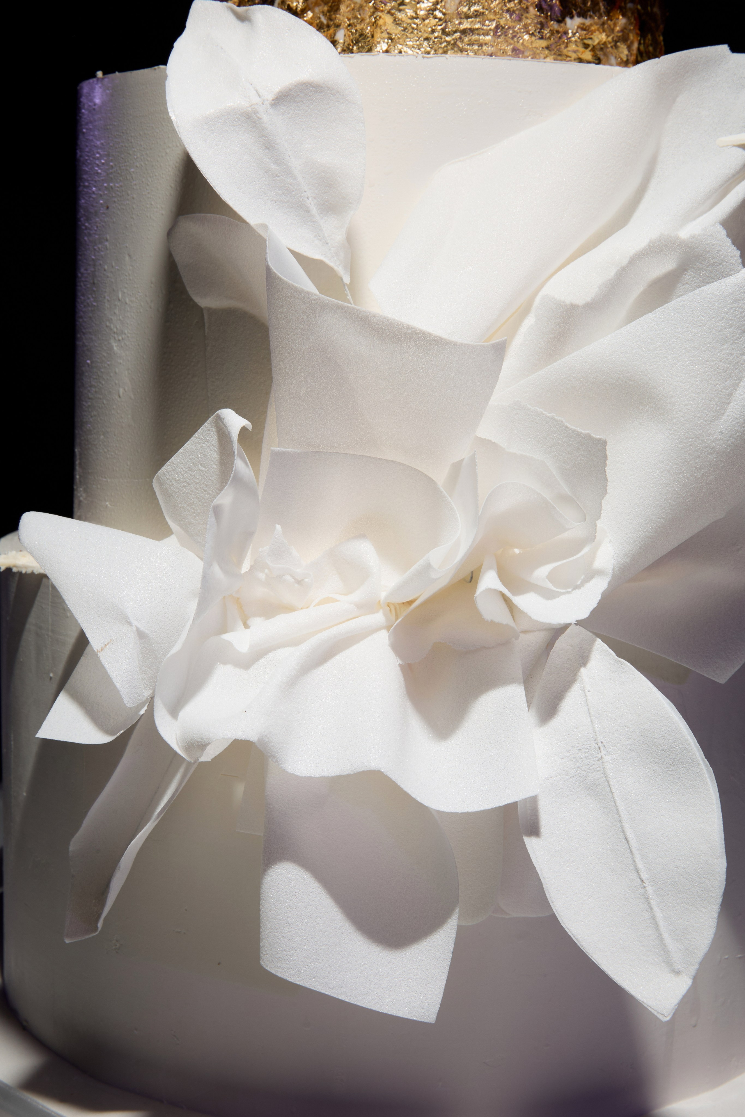 Мы рождены, чтобы сиять. Обо мне