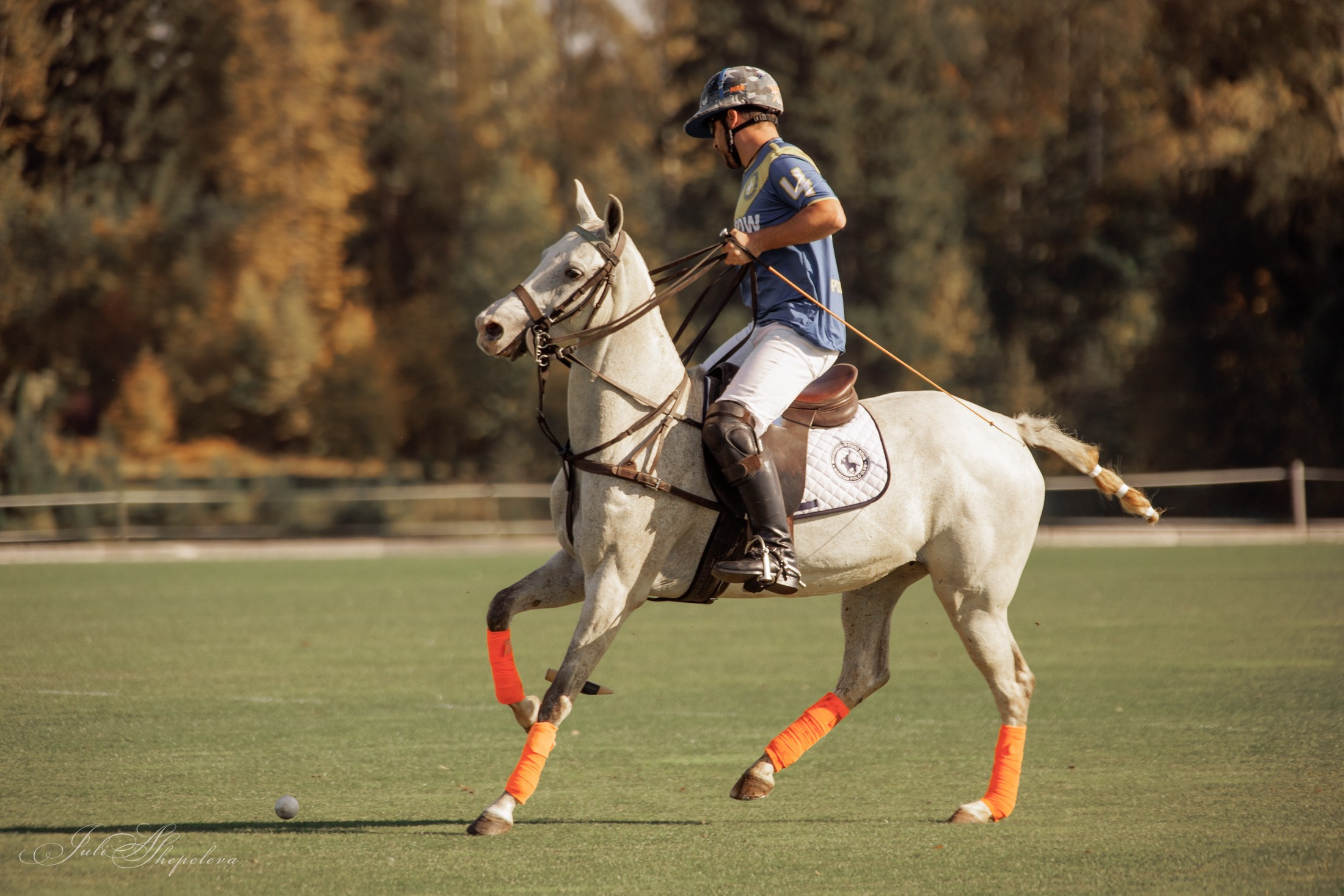 Осенний кубок по конному поло. Детская Конная фотография в Москве Юлия Шепелева