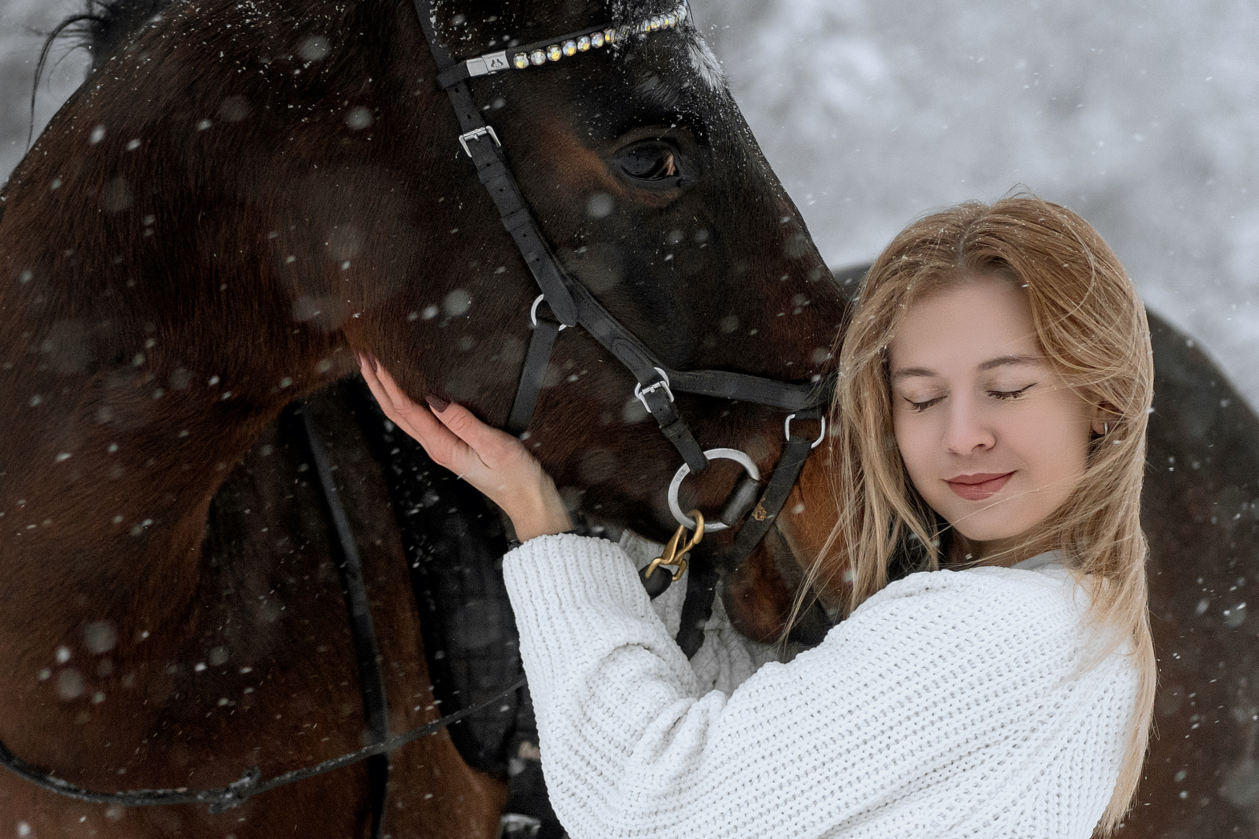 Фотосессии с лошадьми. Фотограф Артемьева Катерина|фотосессии с лошадьми