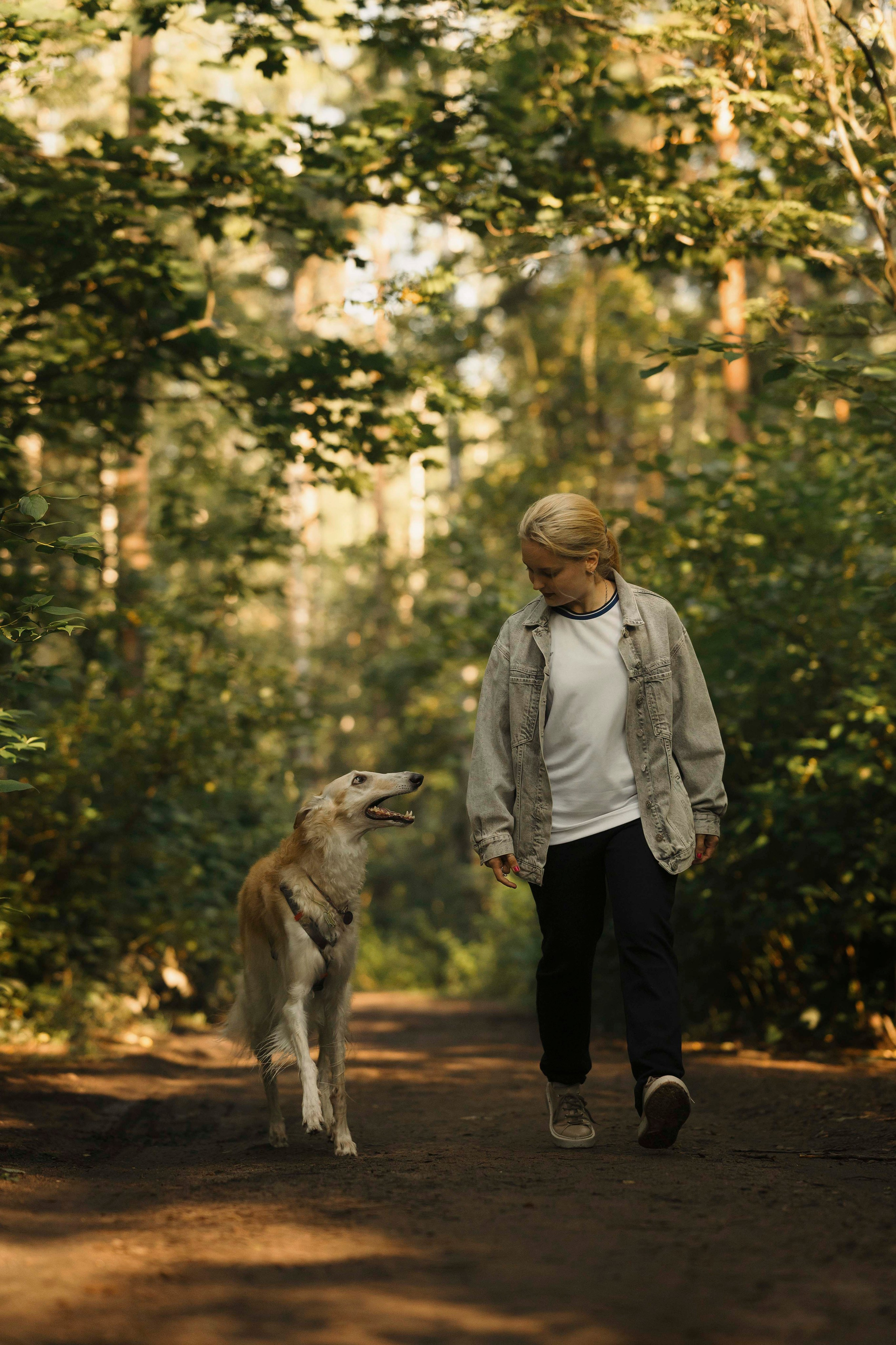 Тайга. Фотограф- анималист Александра Матвеева