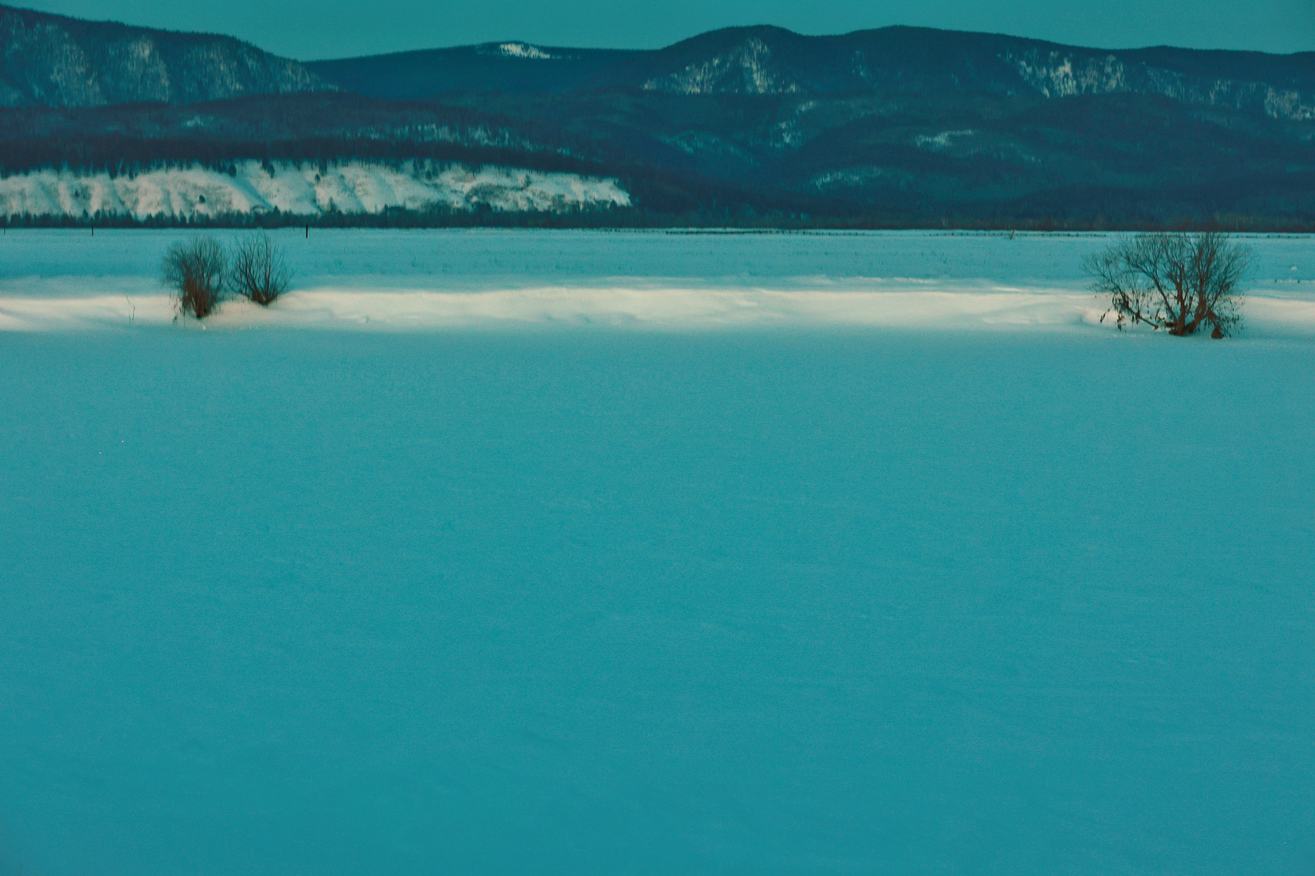 2024. Тащилин Сергей. Фотографии. Жизнь. Хобби