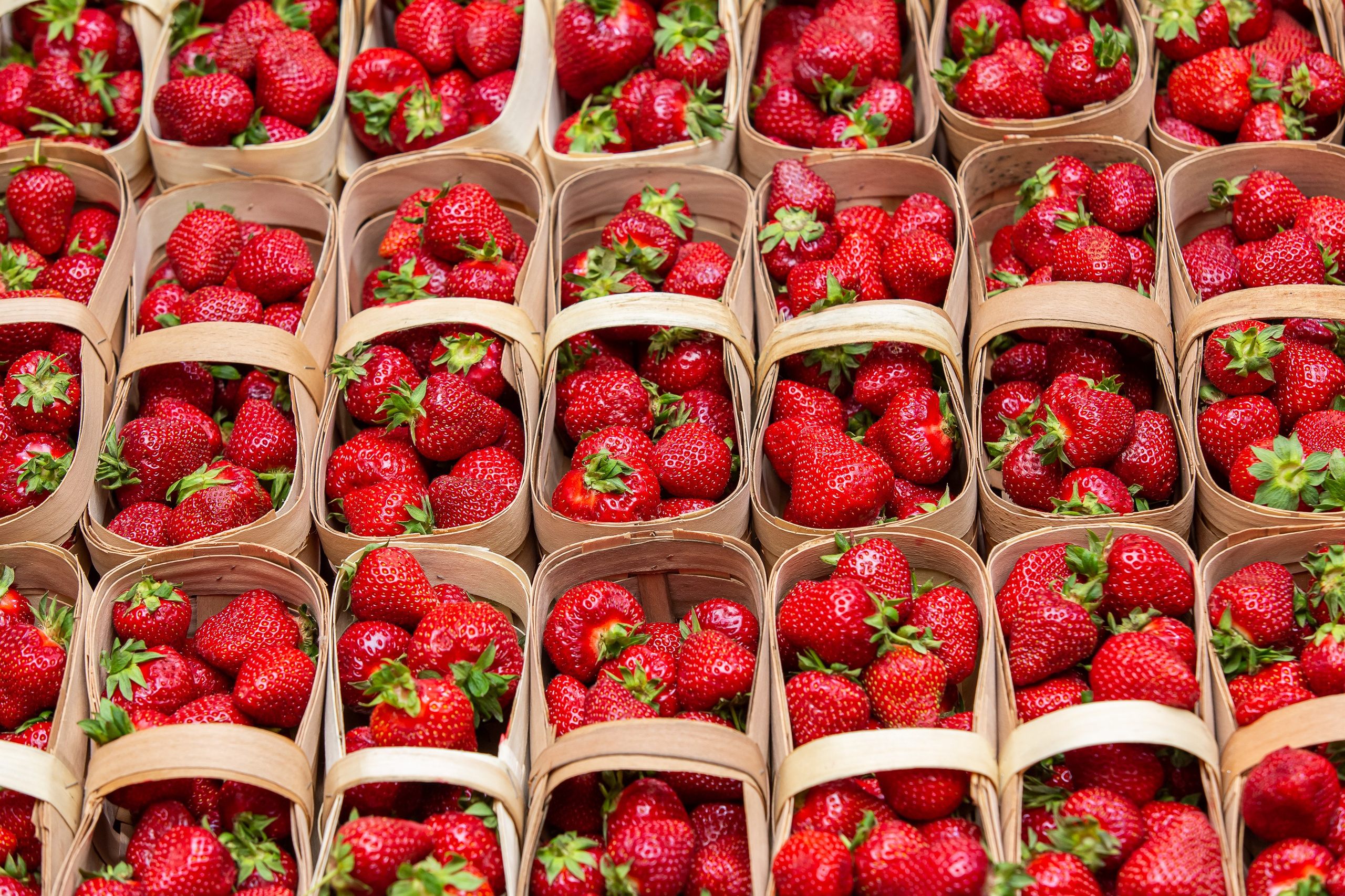 Деловой репортаж. Сергей Гусев — спортивная фотография, виртуальные туры, 3д панорамы