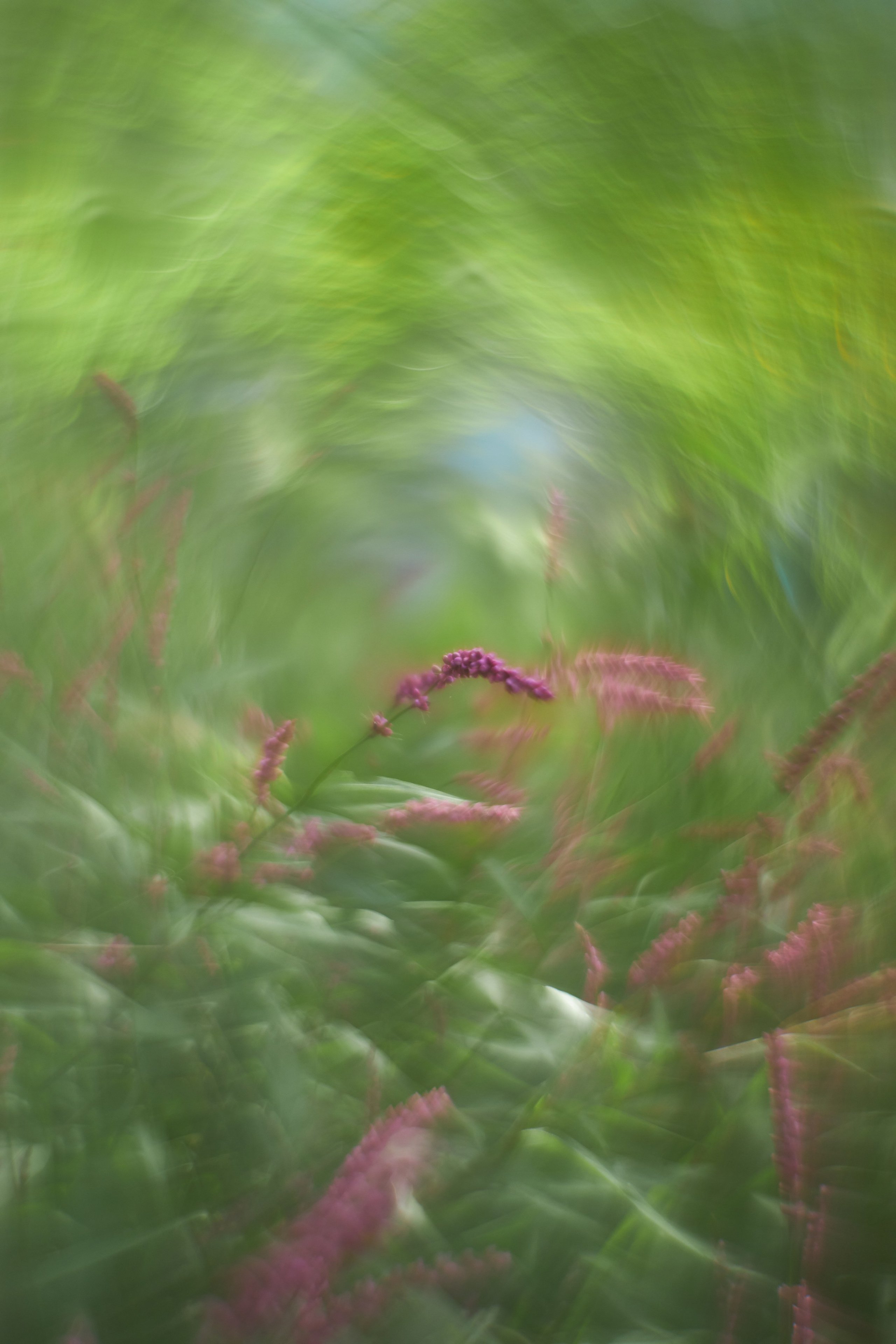 «Незримые Миры». Арт-фотограф во Владивостоке Дмитрий Осипчук
