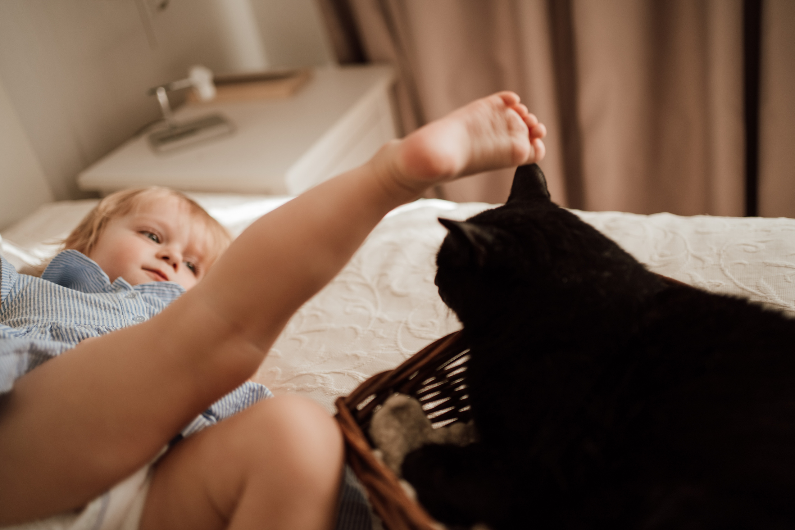 Маленькая девочка трогает черного кота ногой