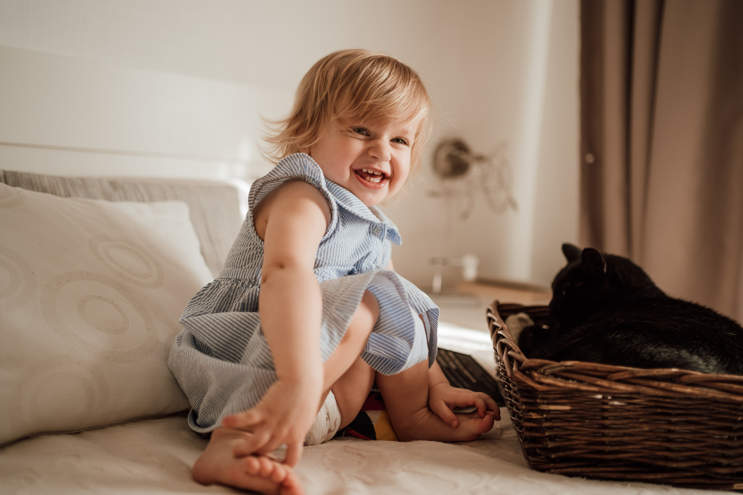 Маленькая девочка в голубом платье с черным котом смеется