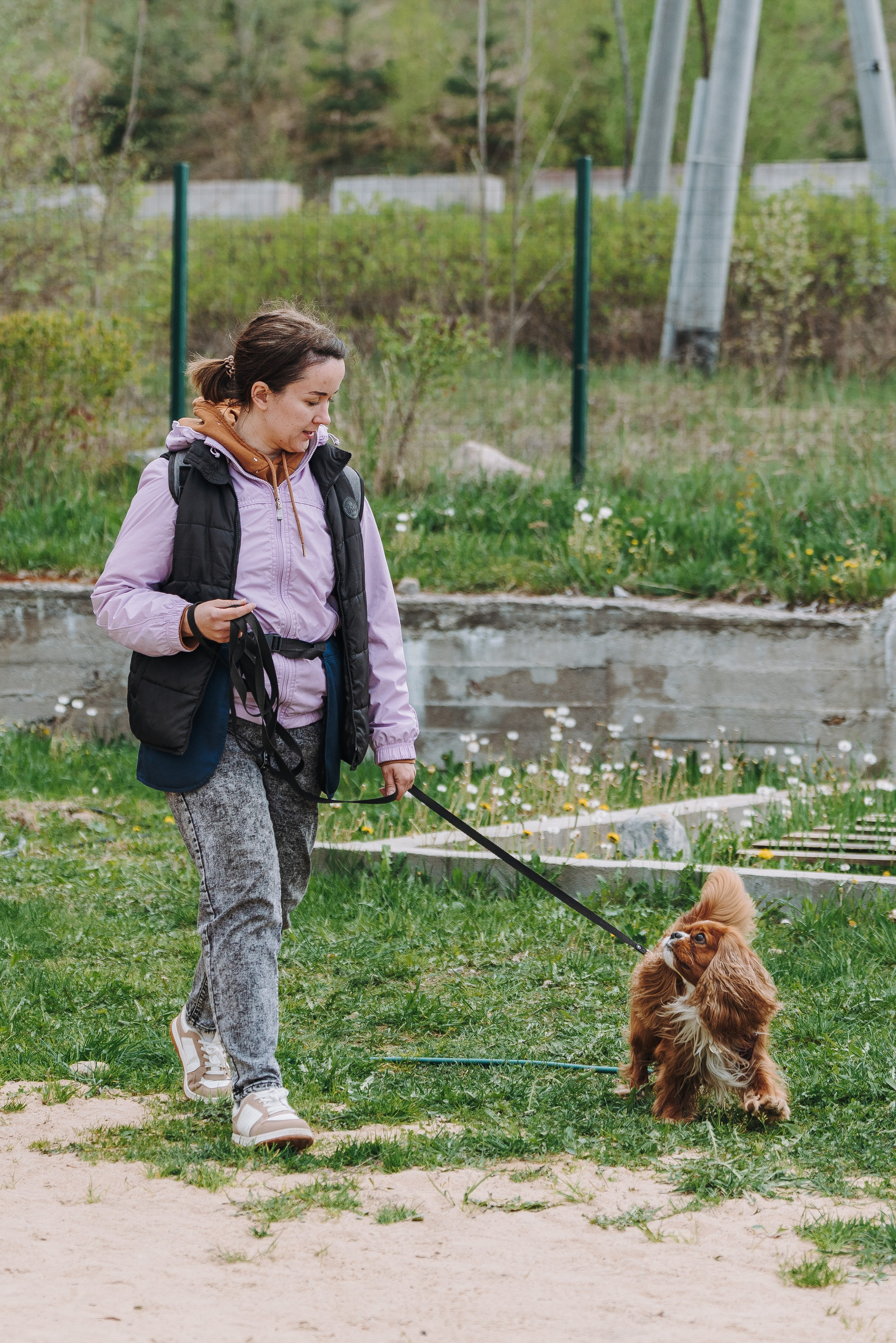 Соревнования по ноузворку в Лосево. Фотограф анималист в Спб недорого Олеся Майорова