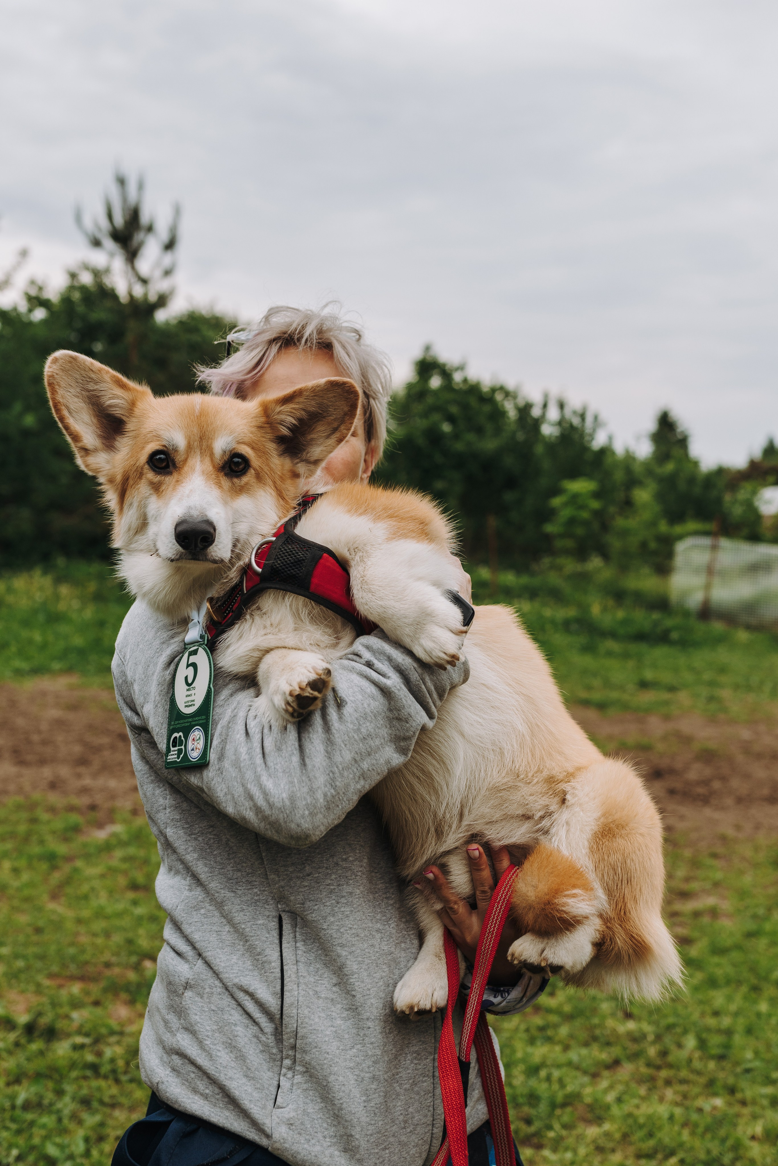 Соревнования по ноузворку. Фотограф анималист в Спб недорого Олеся Майорова