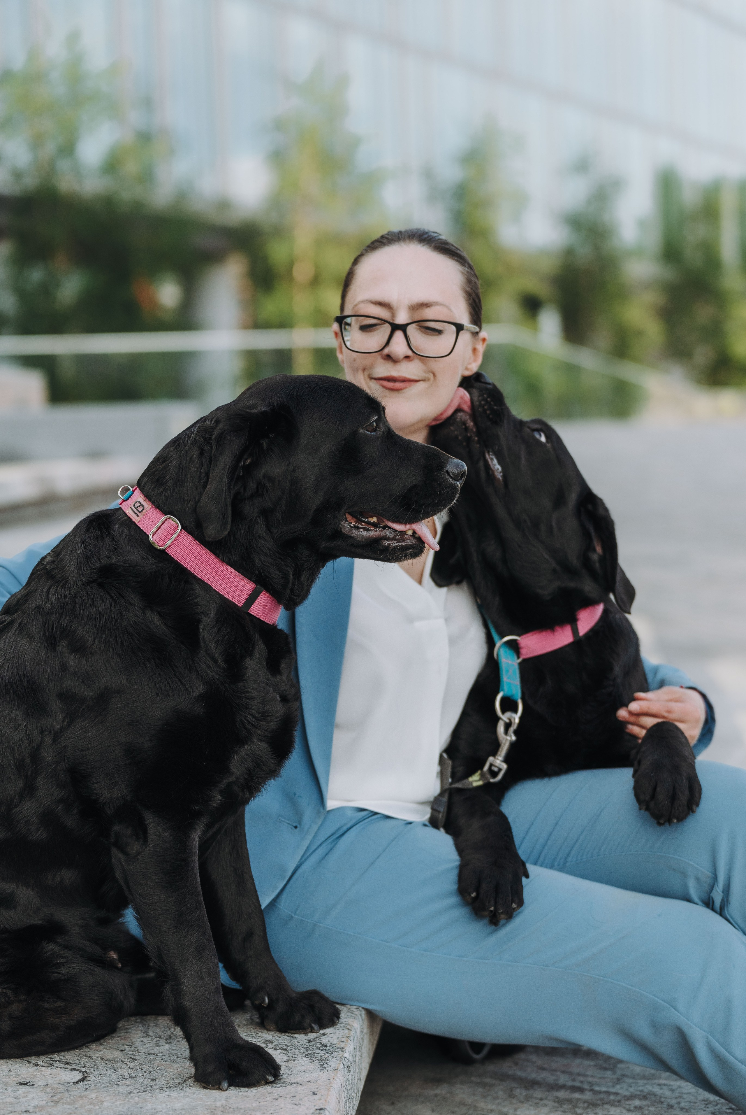 Лабрадоры питомника IRISLAV. Фотограф анималист в Спб недорого Олеся Майорова