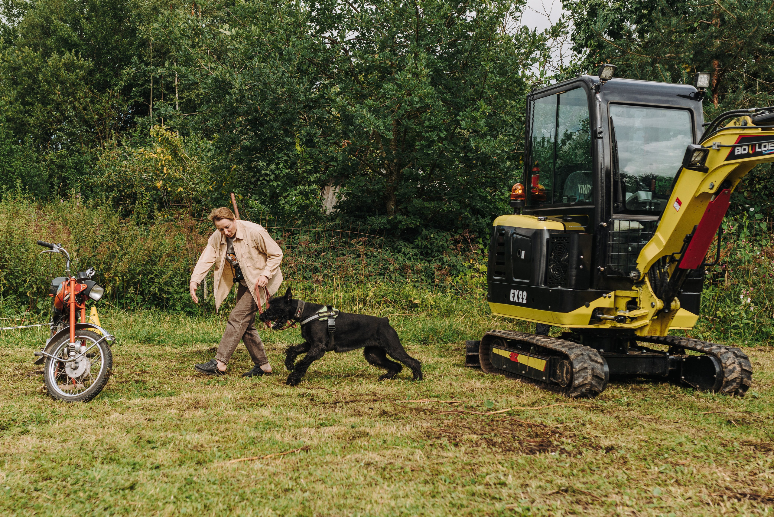 Соревнования по ноузворку в Новожилово. Фотограф анималист в Спб недорого Олеся Майорова