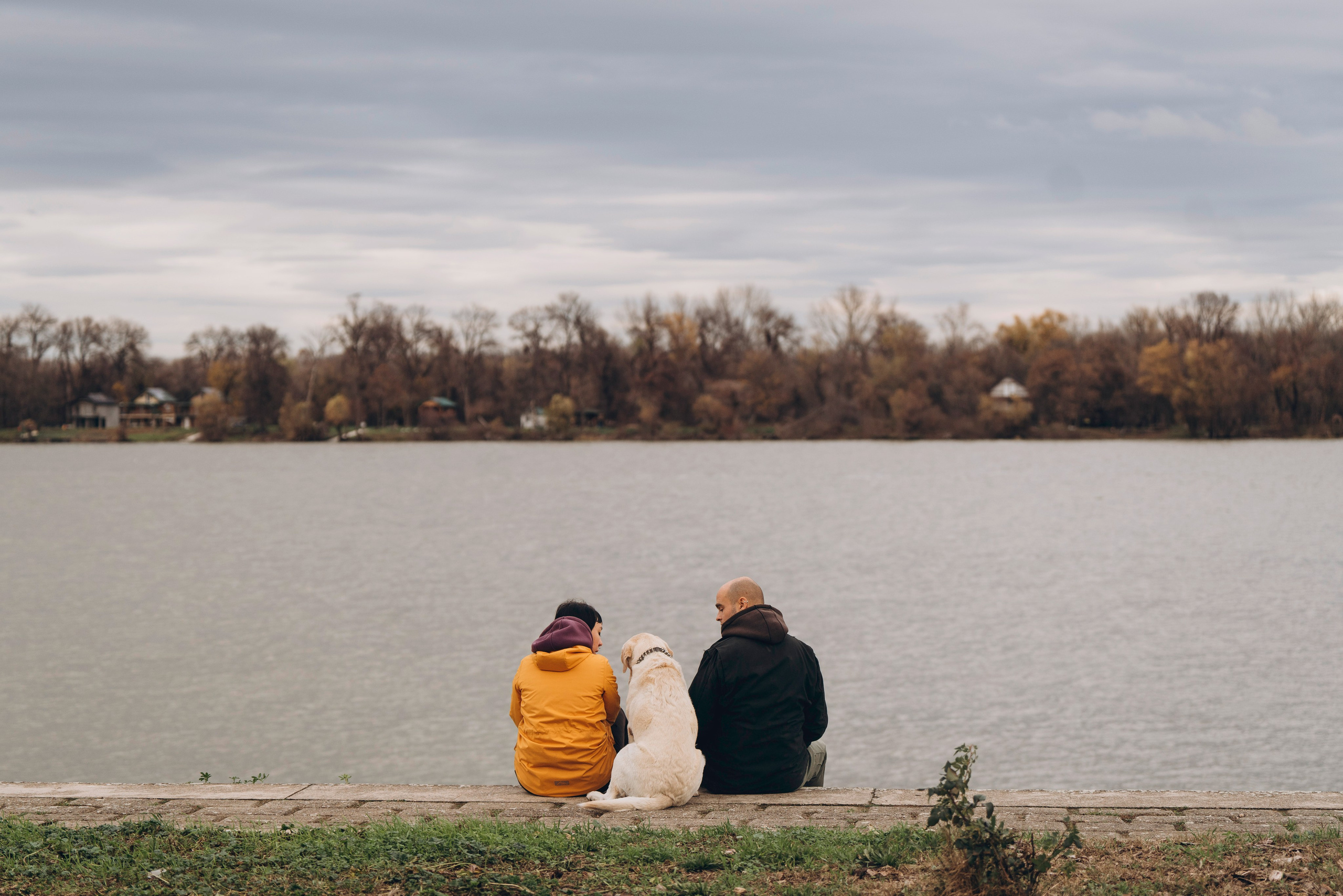 Вати, Лена и Леван. Фотограф анималист в Спб недорого Олеся Майорова