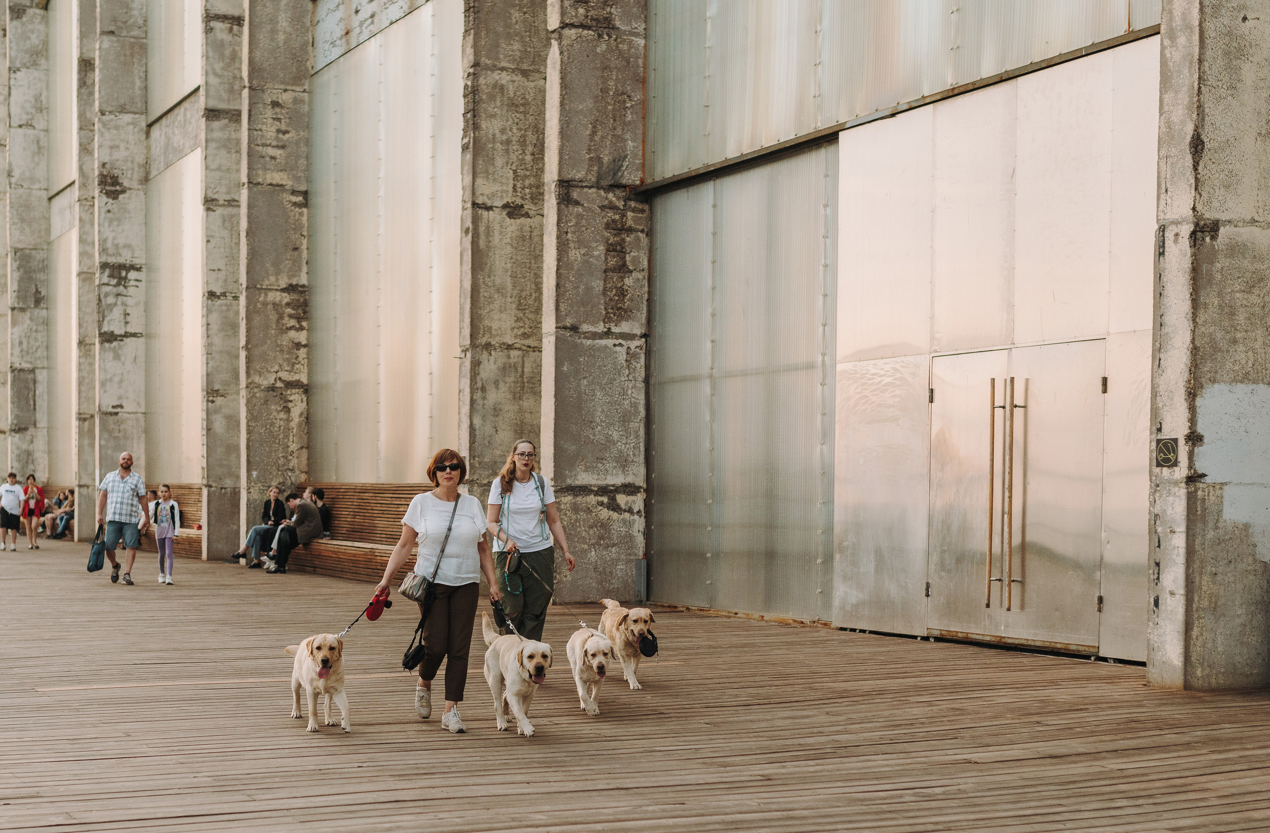 Фотосъёмка с вашими питомцами. Фотограф анималист в Спб недорого Олеся Майорова