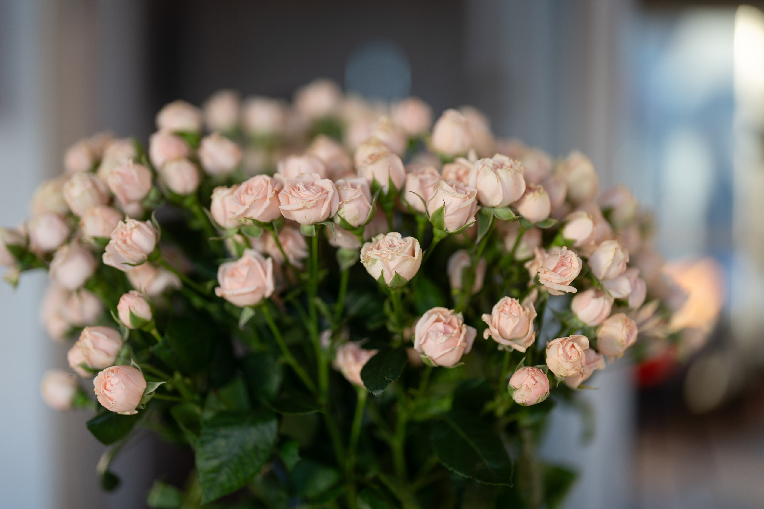 Семейные фото в ростове на дону