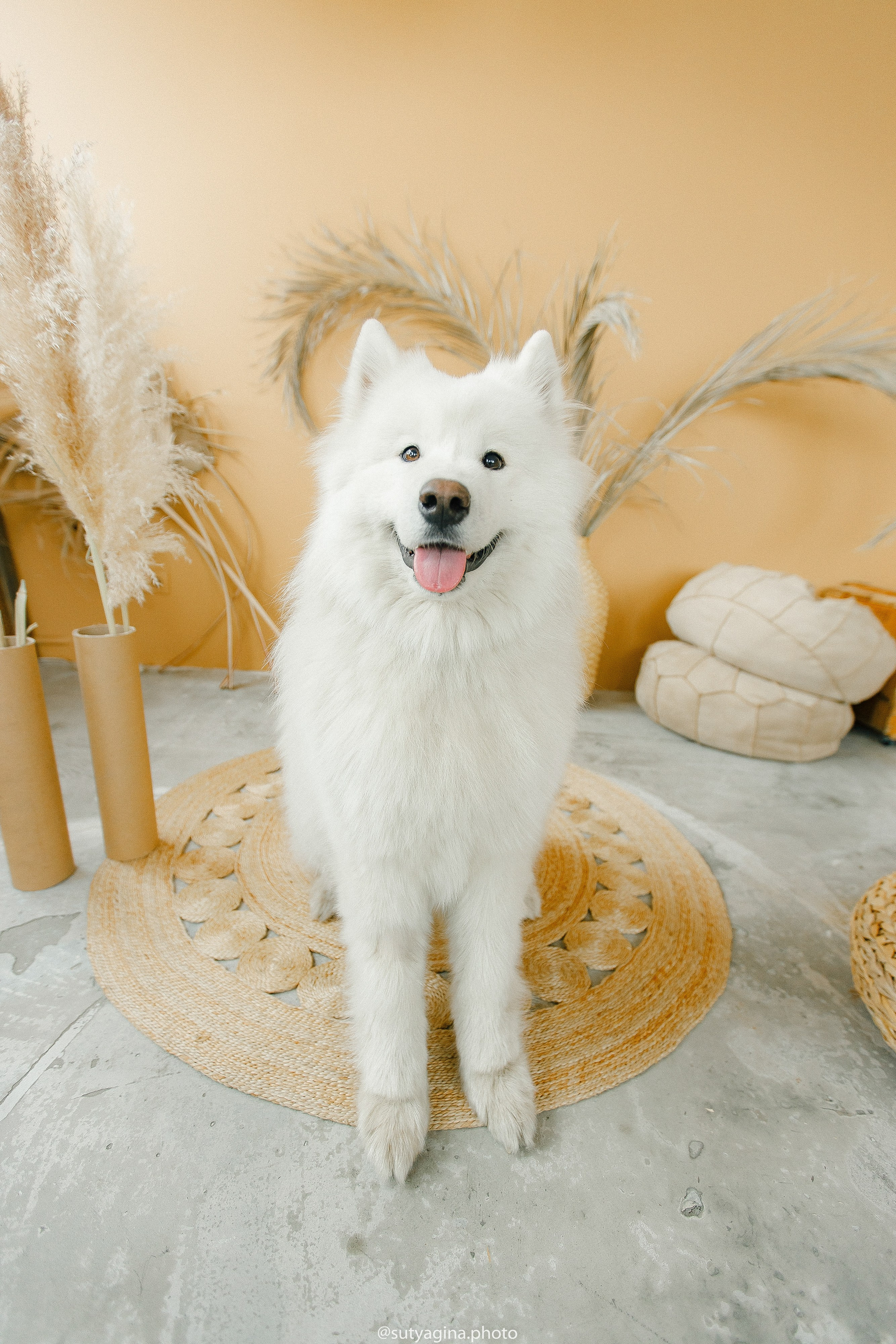 Самоед Мартин. Свадебный и женский фотограф