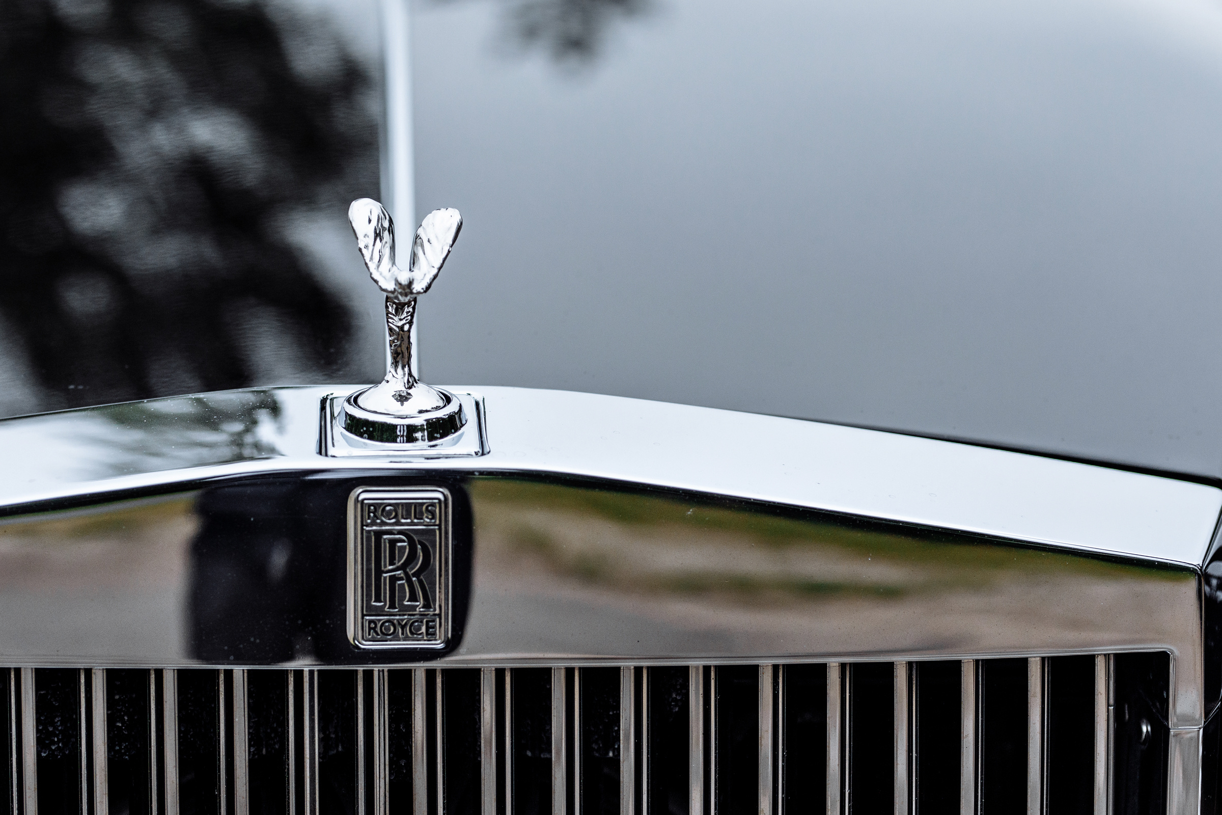 Алексей & Анна. Репортажный фотограф Александр Задорин, Минск, Беларусь