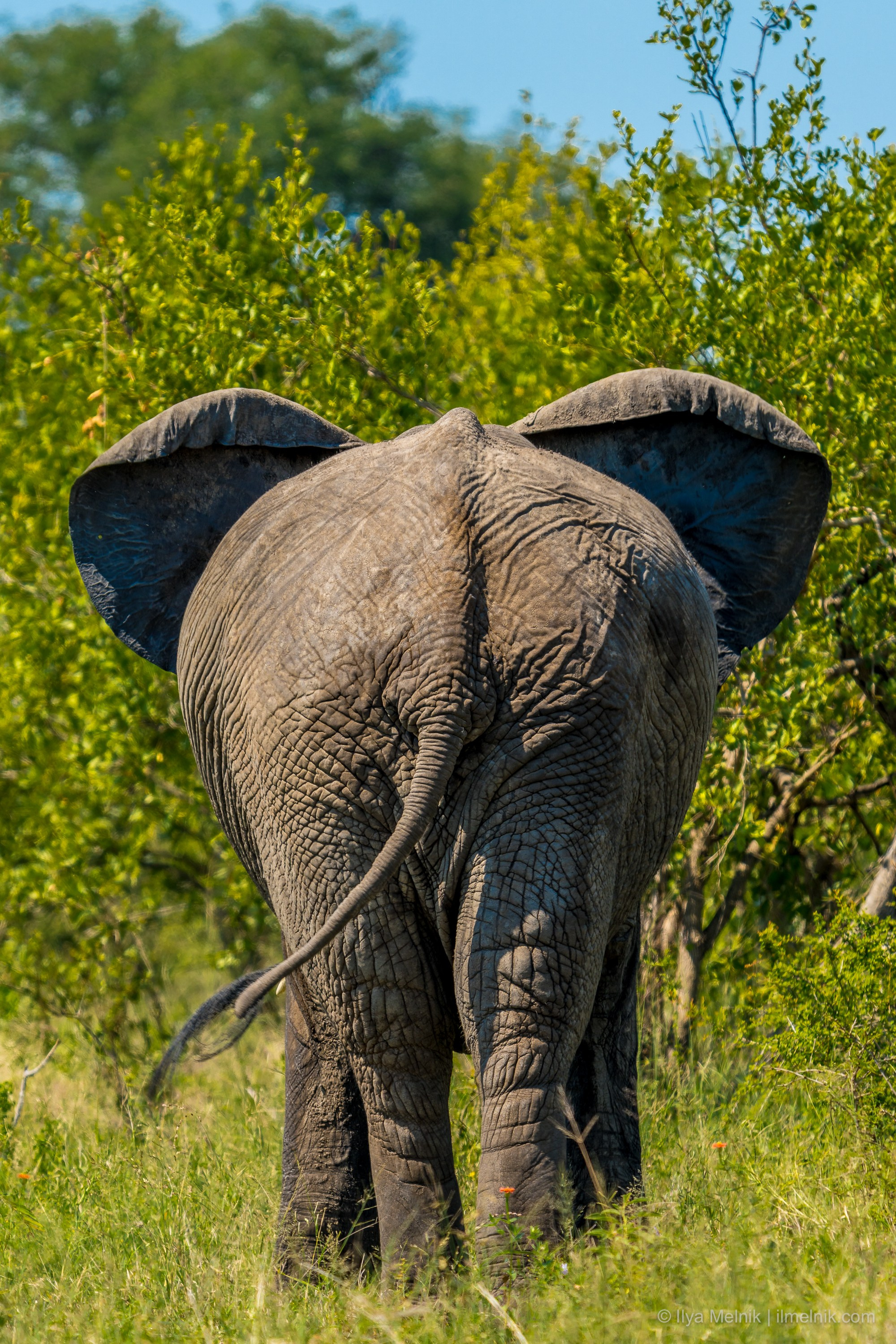 South Aftrica. Ilya Melnik Photography