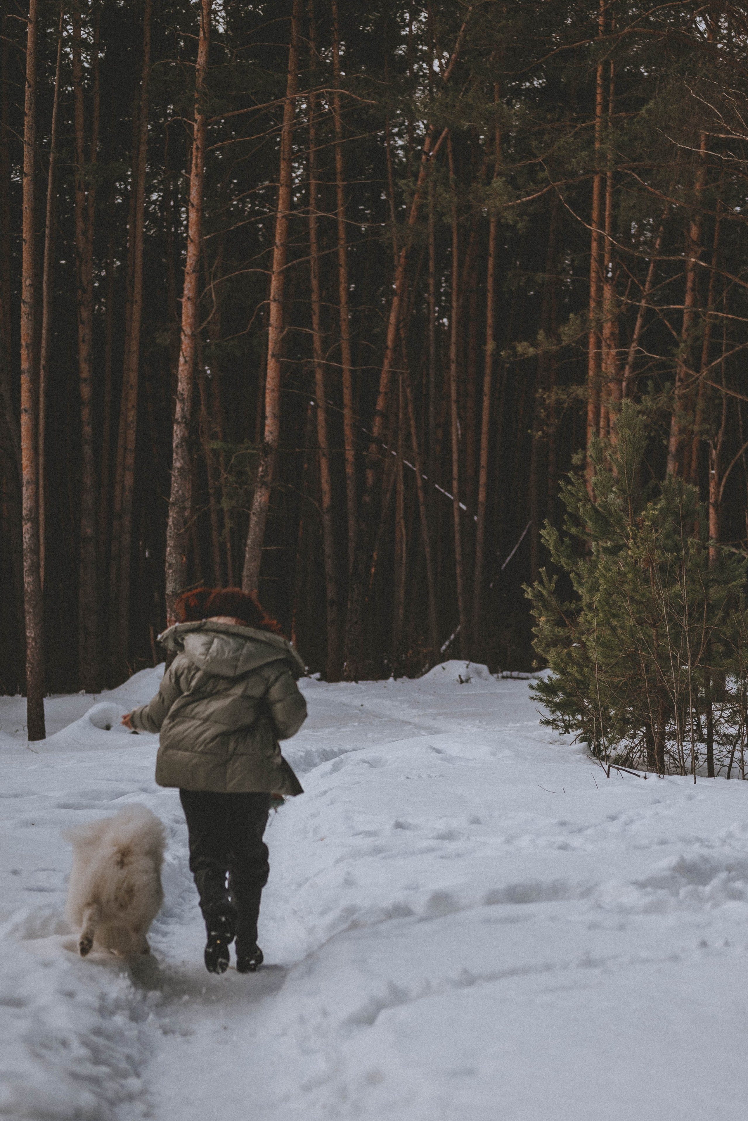 Евгений и Юлия с Каем. Фотограф Кристина Пархоменко