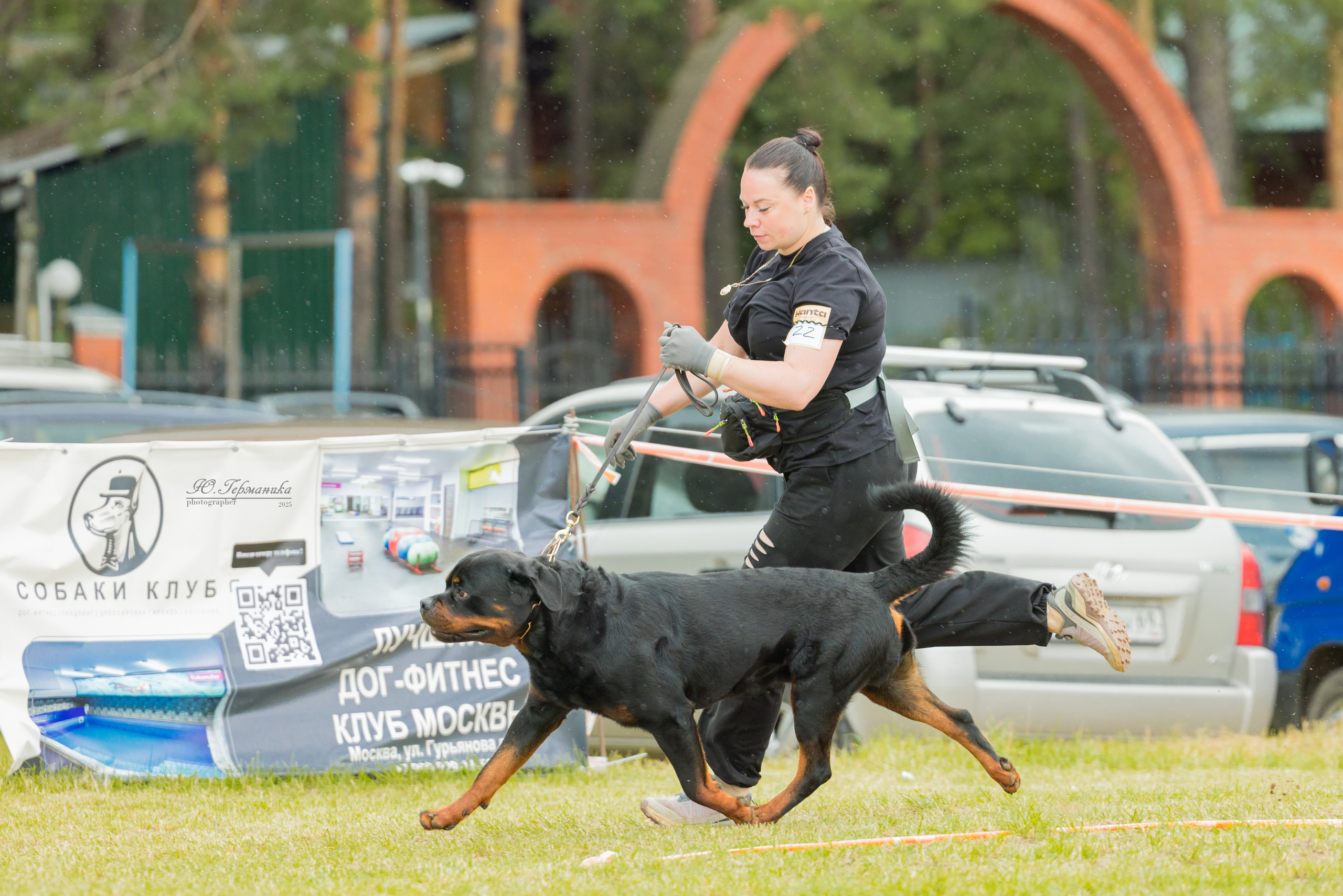 Тверь ротвейлеры 5-6.07.2025. Фотограф-анималист Юлия Германика