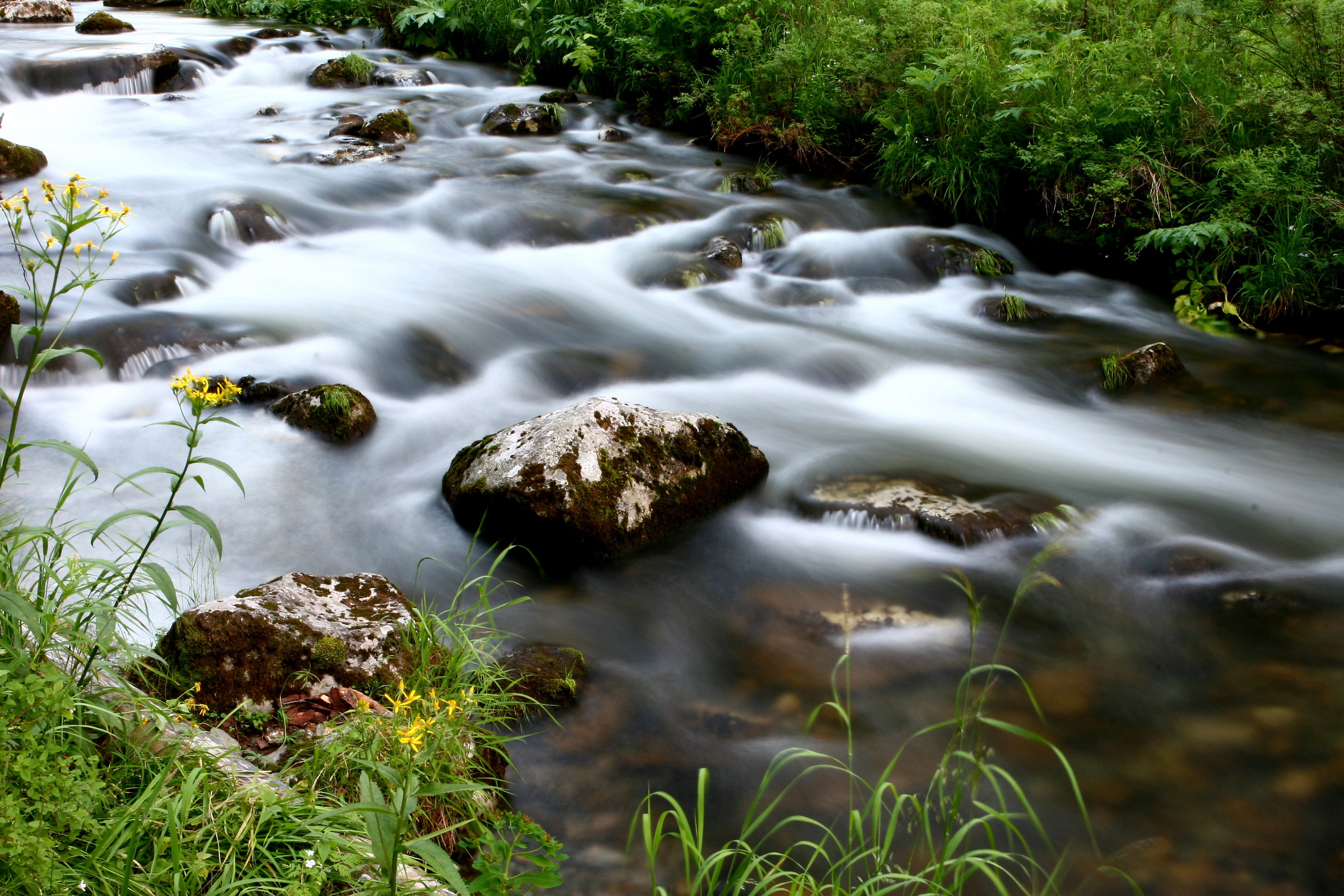 Живописные фотографии природы. Фотограф в Москве и Подмосковье, Николай Сорокин