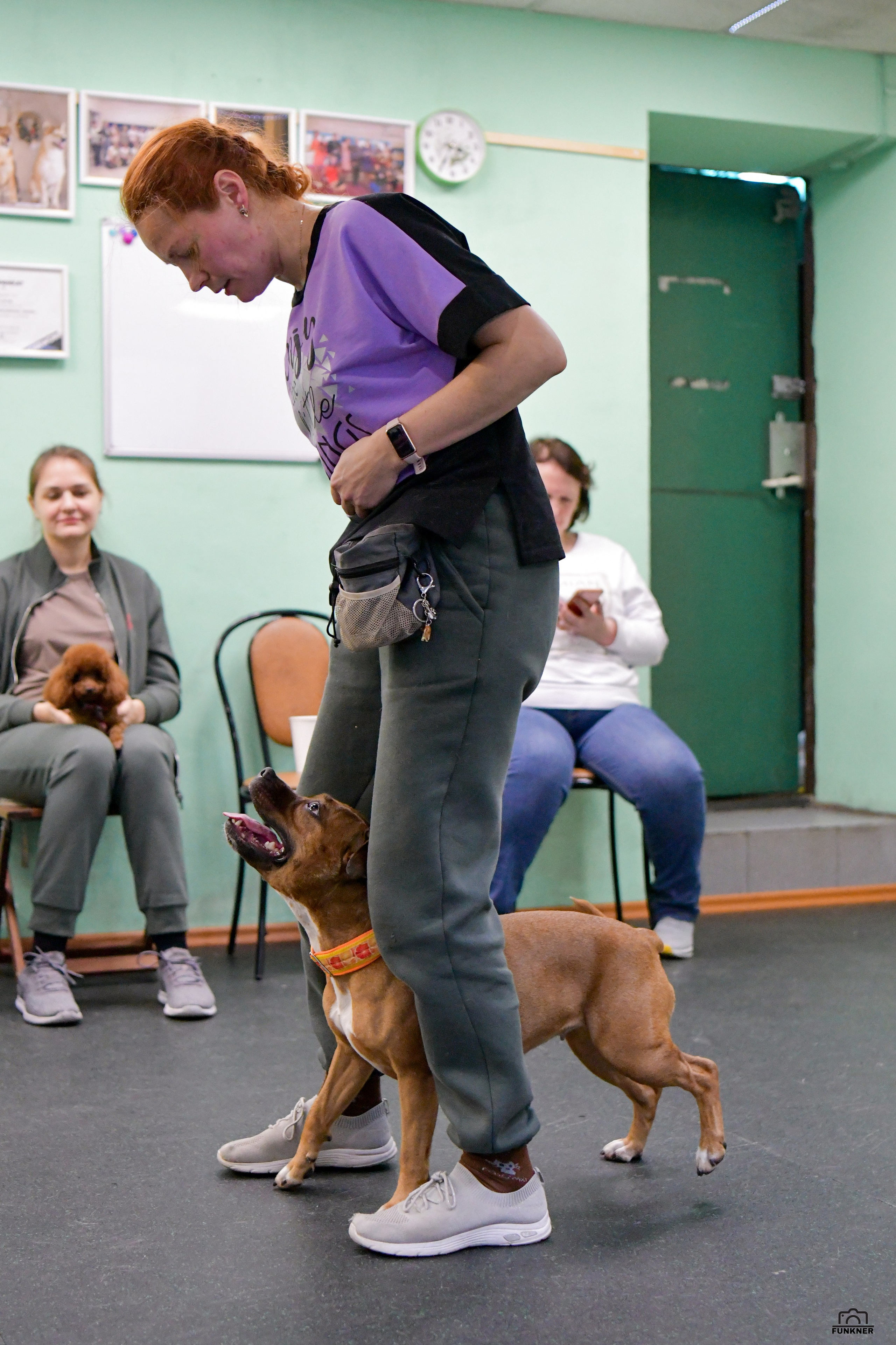 Кинологический клуб «Бодрый хвост». Свой взгляд через объектив