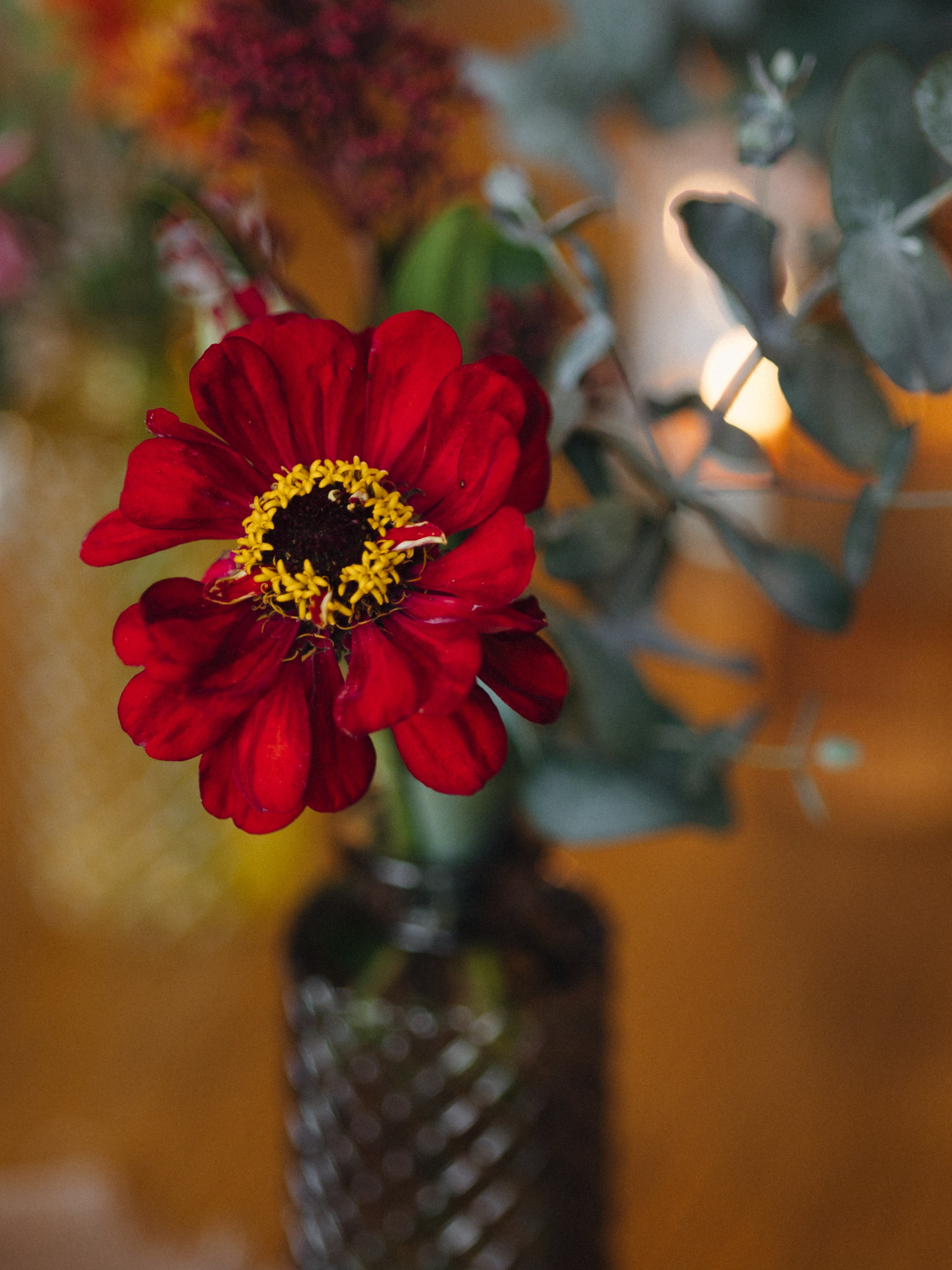 Бранч. Свадебный фотограф в Москве Лиза Зиньковская