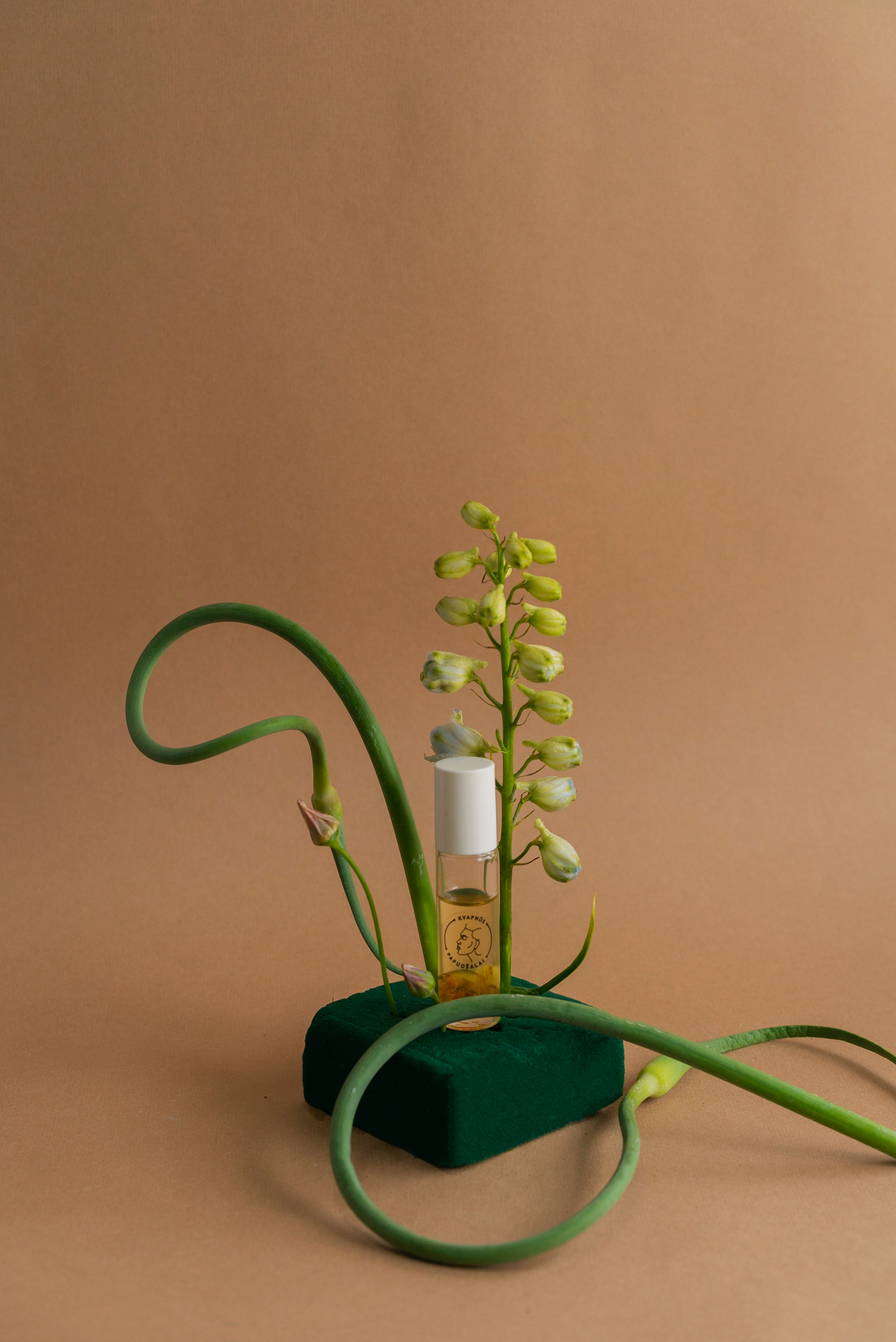 Сocoobird || Атмосфера твоего бренда в снимках и видео