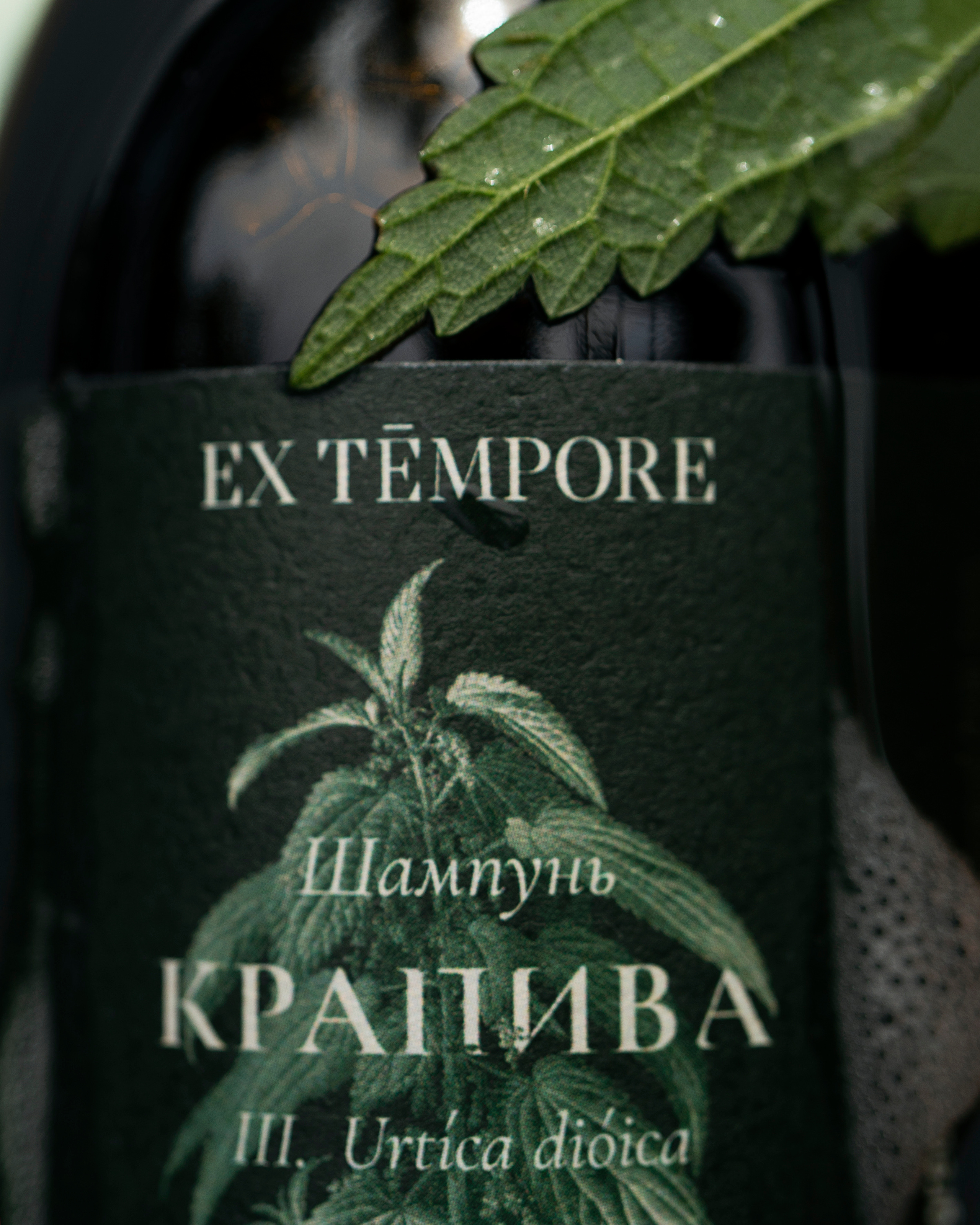 ORGANIC BEAUTY. Сocoobird || Атмосфера твоего бренда в снимках и видео