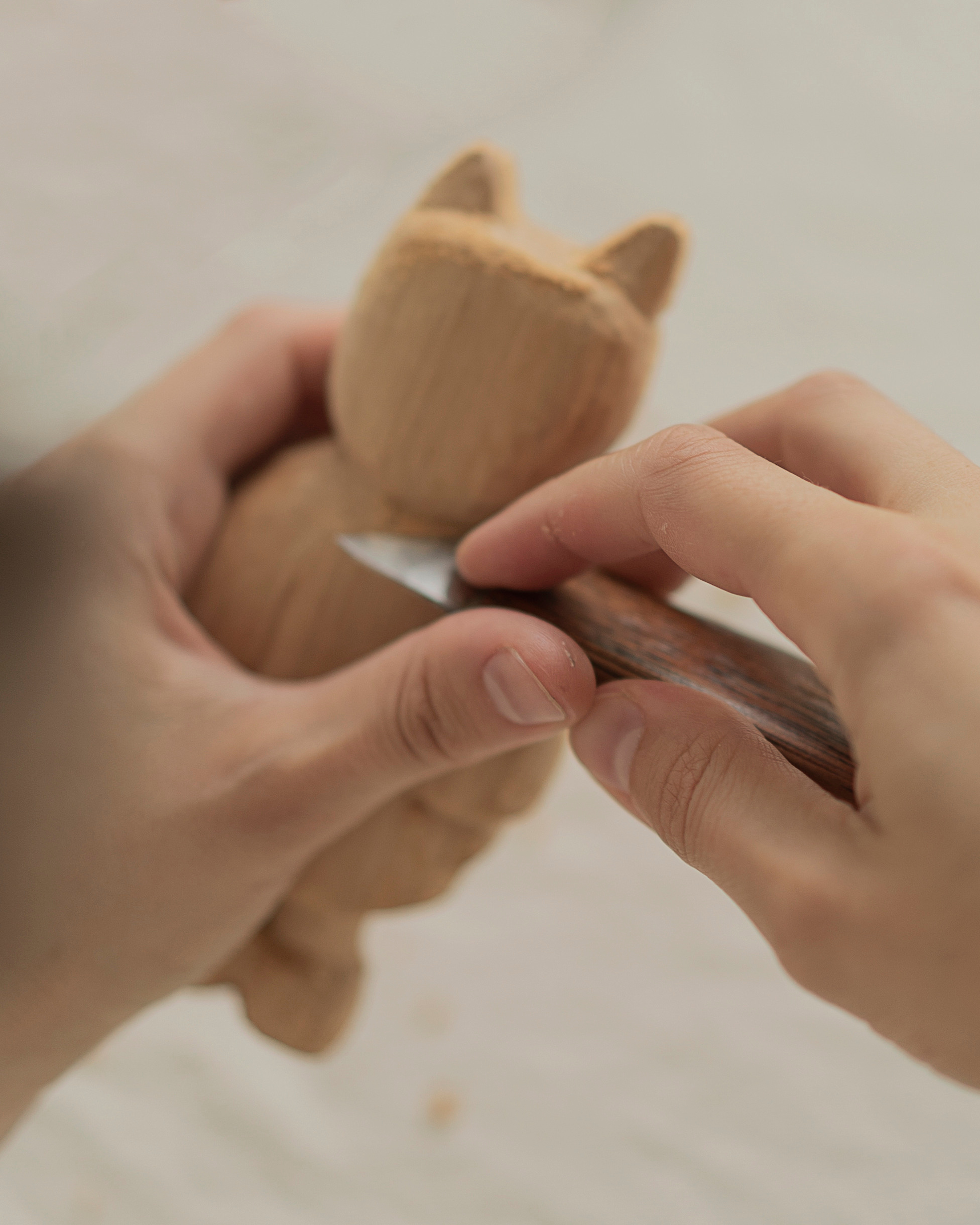 FAN FAN TOYS. Сocoobird || Атмосфера твоего бренда в снимках и видео