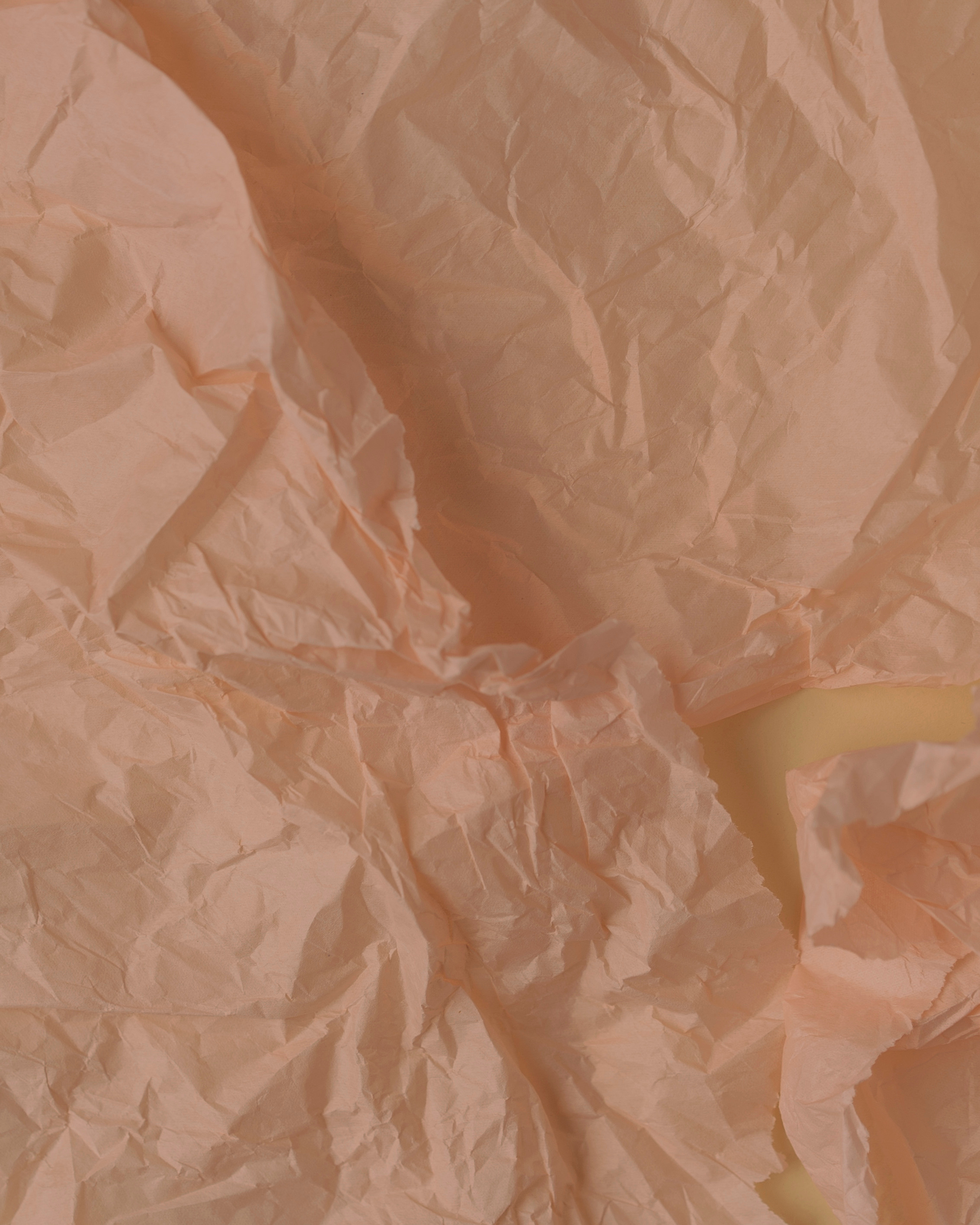 FAN FAN TOYS. Сocoobird || Атмосфера твоего бренда в снимках и видео